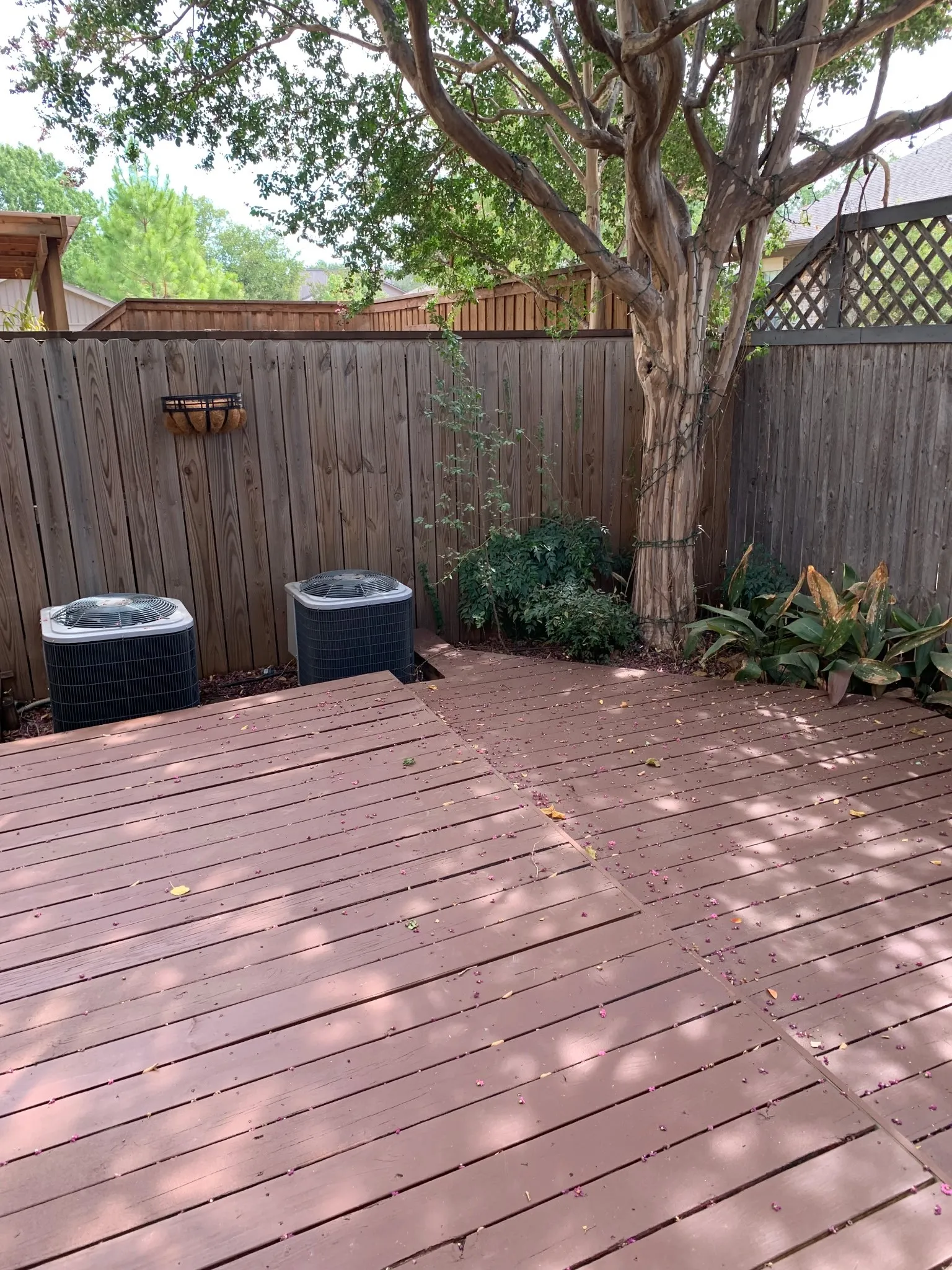 backyard crepe myrtle shades 2 AC units