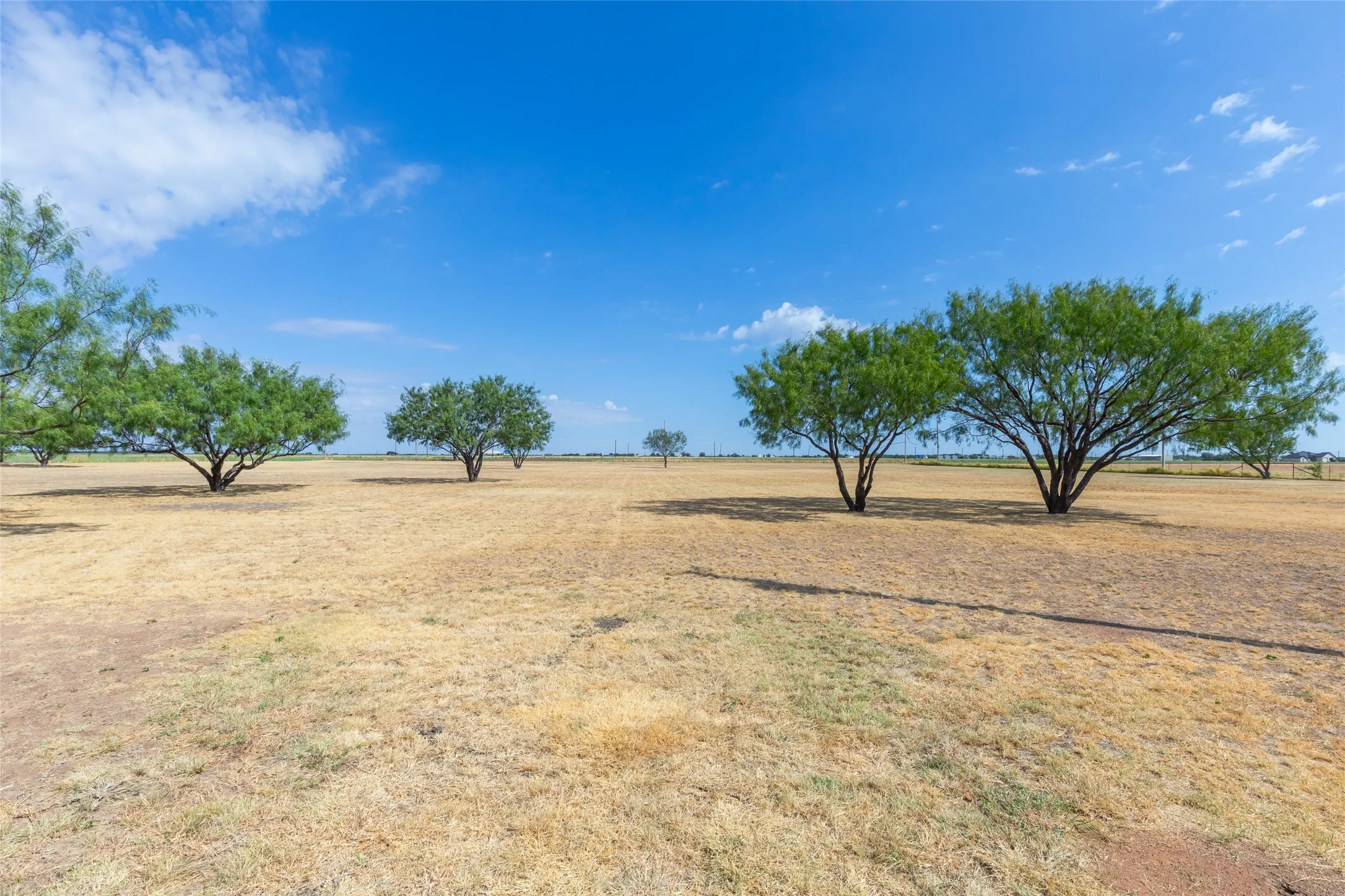 Single Family Residence For Sale in Taylor County , 390 Mesquite Lane, Abilene, Texas 79601, 4 Bedroom, 2 Bathroom, 3 Garage spaces, 2,202 Sqft, built in 1985, mls#21379295, Real Estate Agent in Abilene, Homes For Sale in Taylor county, Homes For Sale in Abilene, Realtor in Abilene Texas, Real Estate Brokerage Independent Realty Texas, Luminita Cordes Realtor