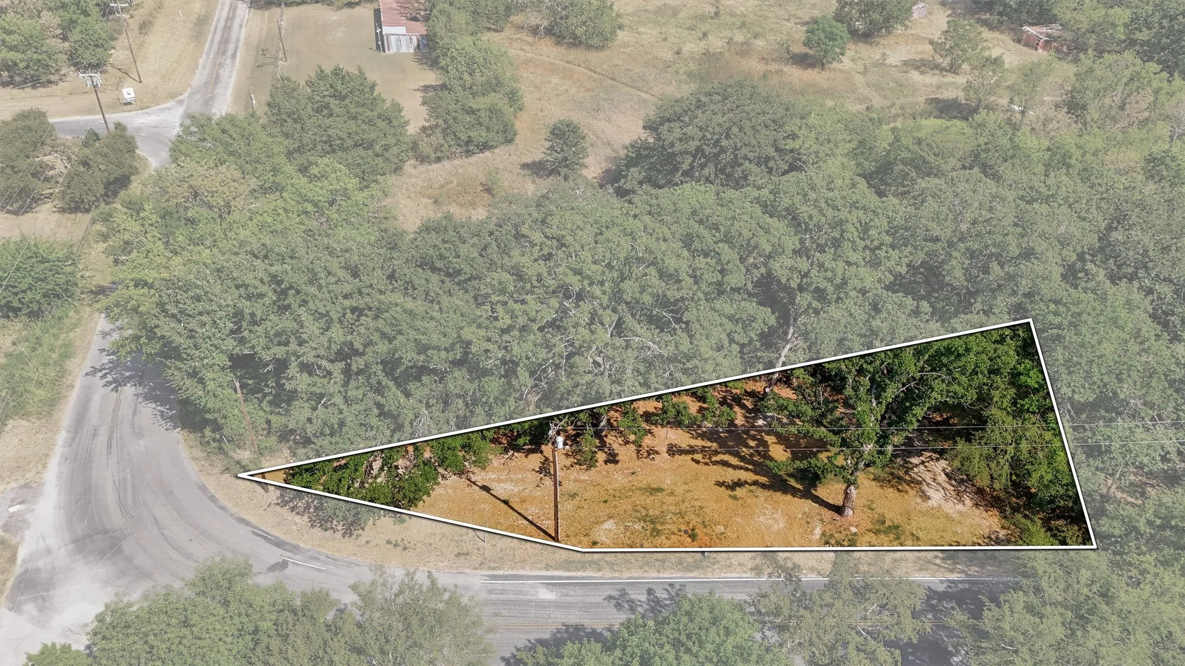 Land parcel with established trees and surrounding natural elements