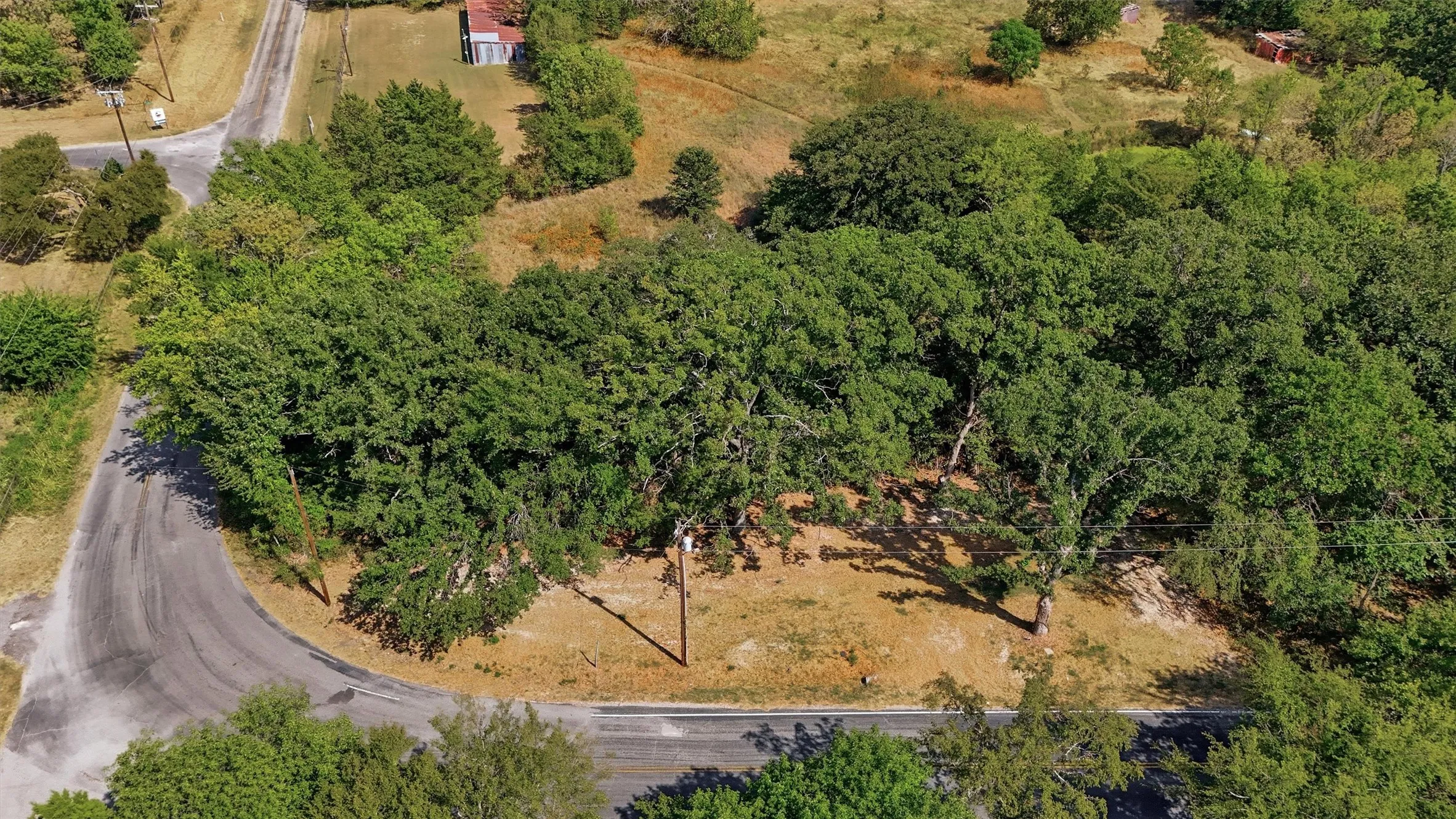 Curved asphalt road with extensive tree cover and natural landscaping