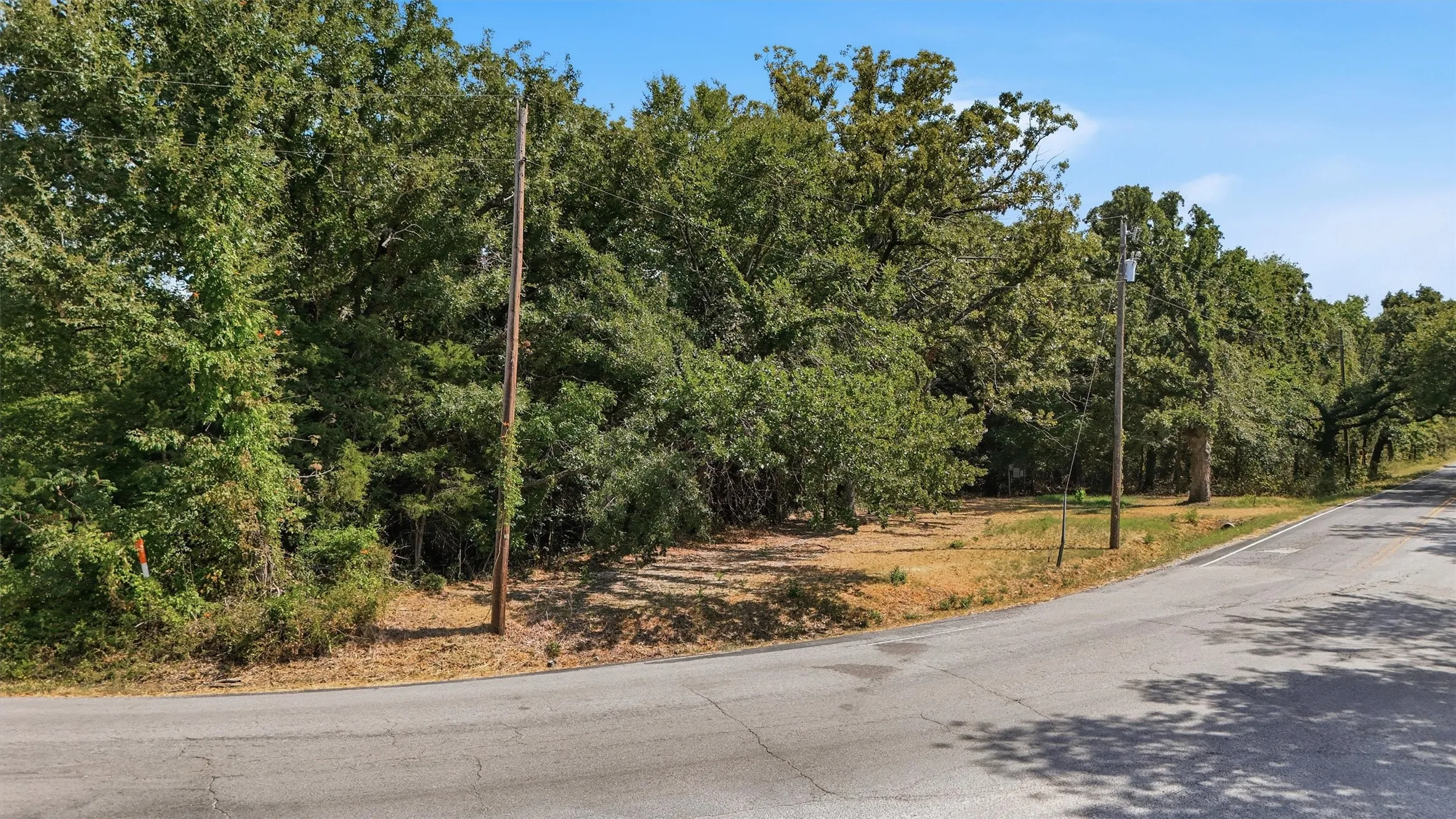 Expansive lot featuring mature trees, a clear sky, and paved road access