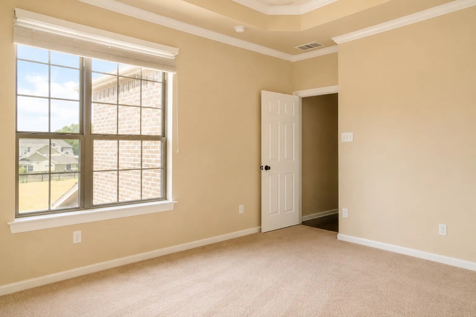 Tray ceiling with crown molding, grid-pane window, neutral wall color, and carpeted flooring