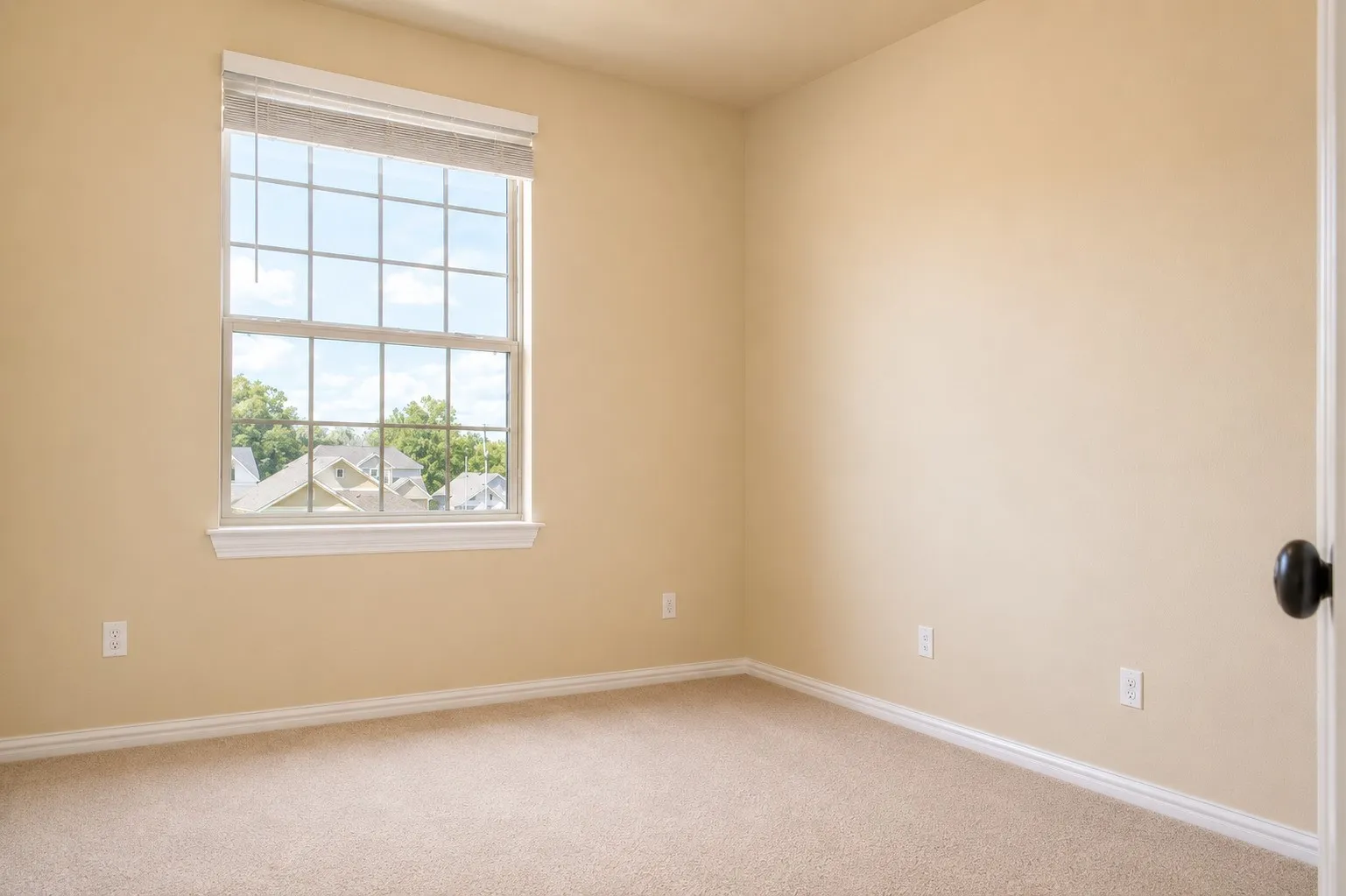 Neutral tone walls, carpet flooring, a multi-pane window with white trim, and a door with a dark spherical knob