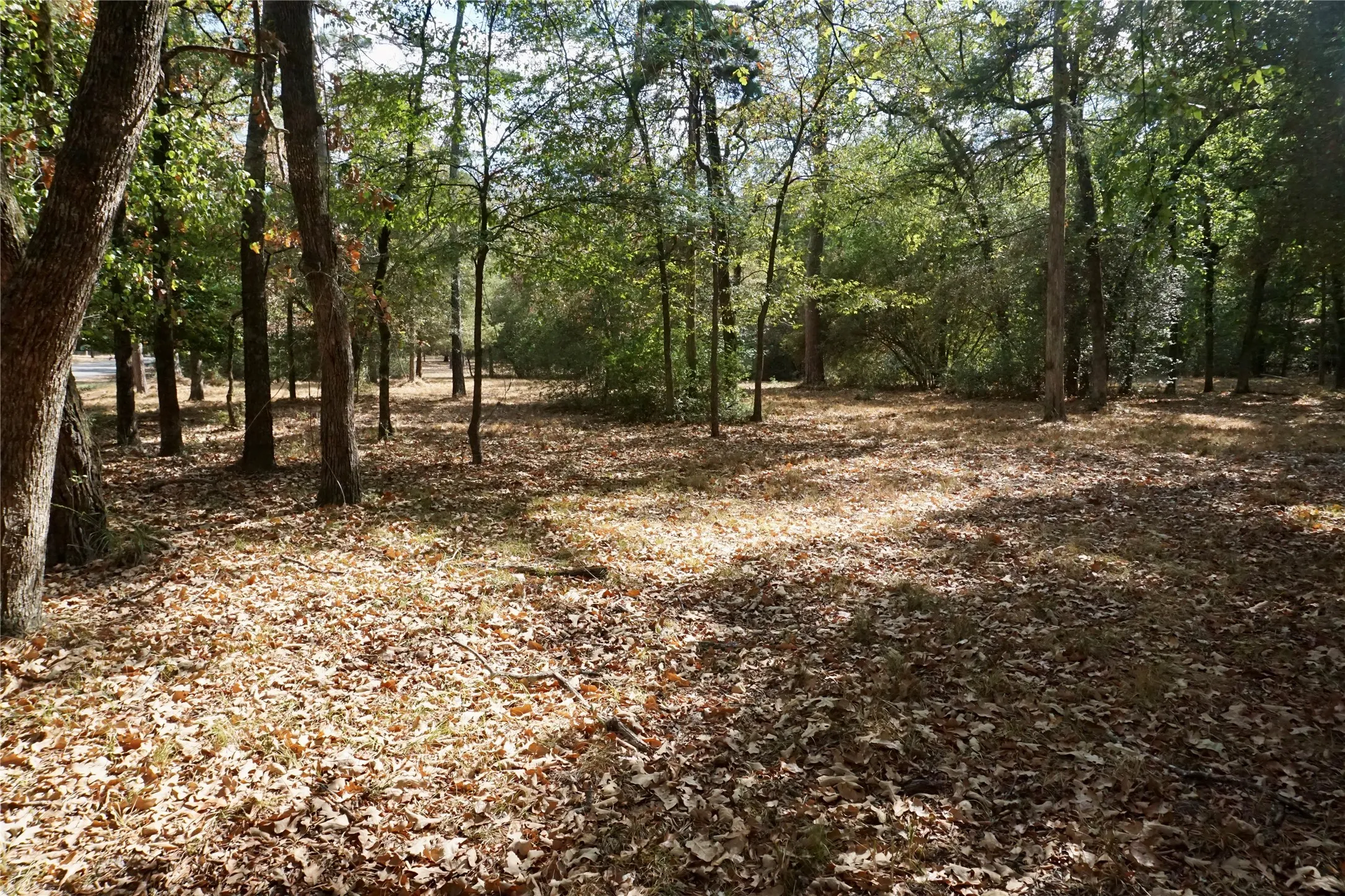 Unimproved Land For Sale in Wood County , TBD Lot 146 (Evening Shadows Trail) Trail, Holly Lake Ranch, Texas 75765, 0, 0, Garage spaces, 0 Sqft, built in 0, mls#21379461, Real Estate Agent in Holly Lake Ranch, Homes For Sale in Wood county, Homes For Sale in Holly Lake Ranch, Realtor in Holly Lake Ranch Texas, Real Estate Brokerage Independent Realty Texas, Luminita Cordes Realtor