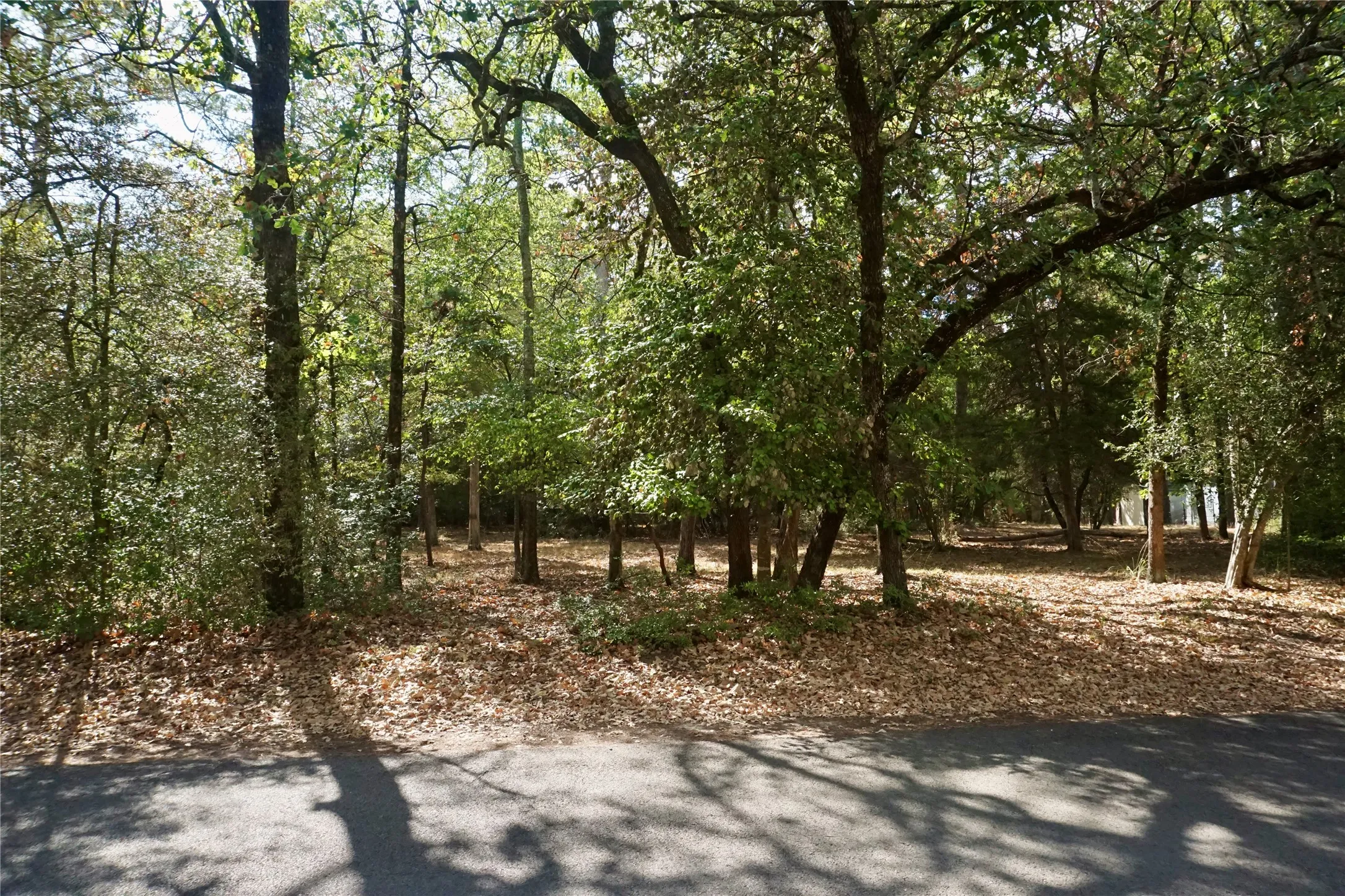 Unimproved Land For Sale in Wood County , TBD Lot 146 (Evening Shadows Trail) Trail, Holly Lake Ranch, Texas 75765, 0, 0, Garage spaces, 0 Sqft, built in 0, mls#21379461, Real Estate Agent in Holly Lake Ranch, Homes For Sale in Wood county, Homes For Sale in Holly Lake Ranch, Realtor in Holly Lake Ranch Texas, Real Estate Brokerage Independent Realty Texas, Luminita Cordes Realtor