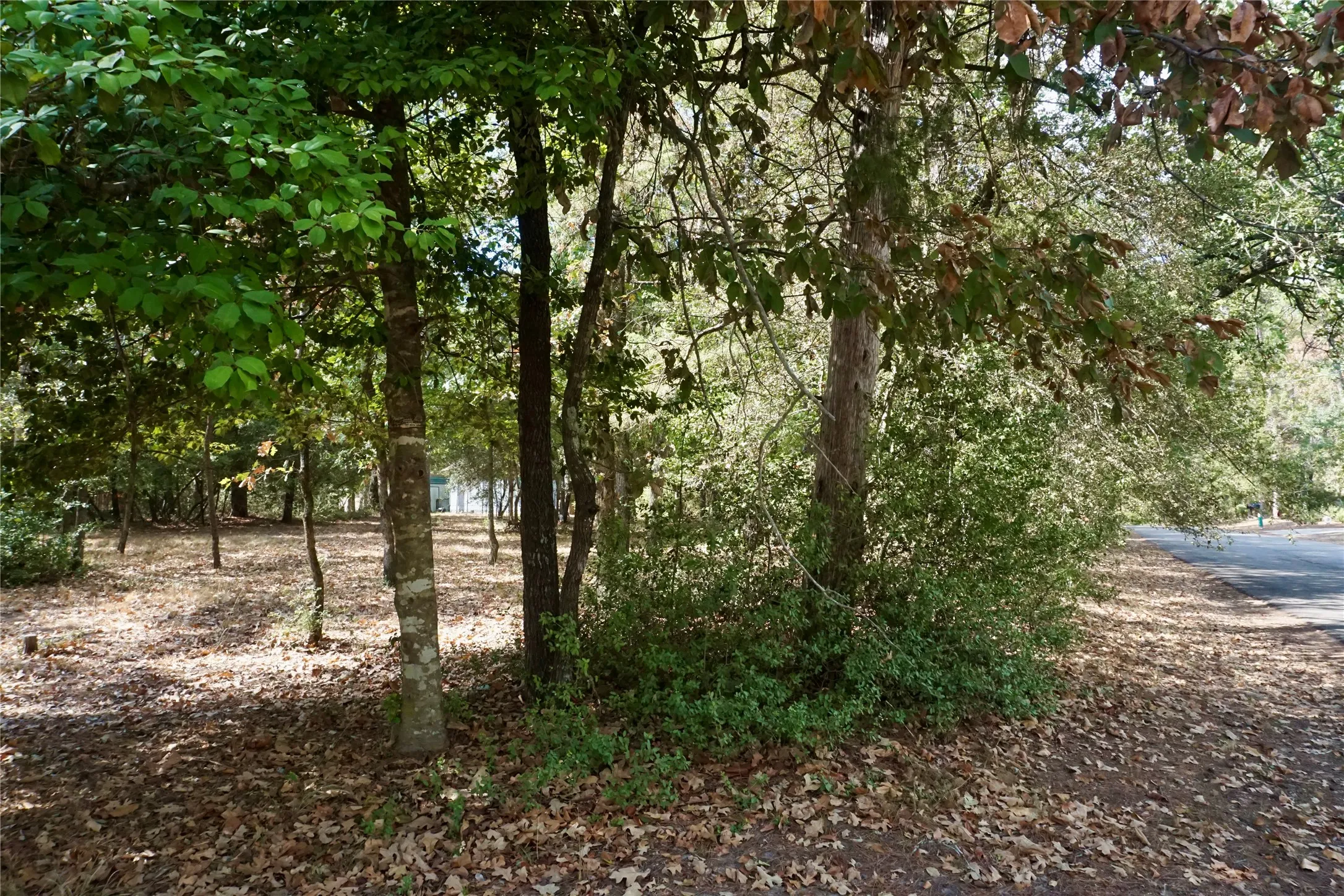 Unimproved Land For Sale in Wood County , TBD Lot 146 (Evening Shadows Trail) Trail, Holly Lake Ranch, Texas 75765, 0, 0, Garage spaces, 0 Sqft, built in 0, mls#21379461, Real Estate Agent in Holly Lake Ranch, Homes For Sale in Wood county, Homes For Sale in Holly Lake Ranch, Realtor in Holly Lake Ranch Texas, Real Estate Brokerage Independent Realty Texas, Luminita Cordes Realtor