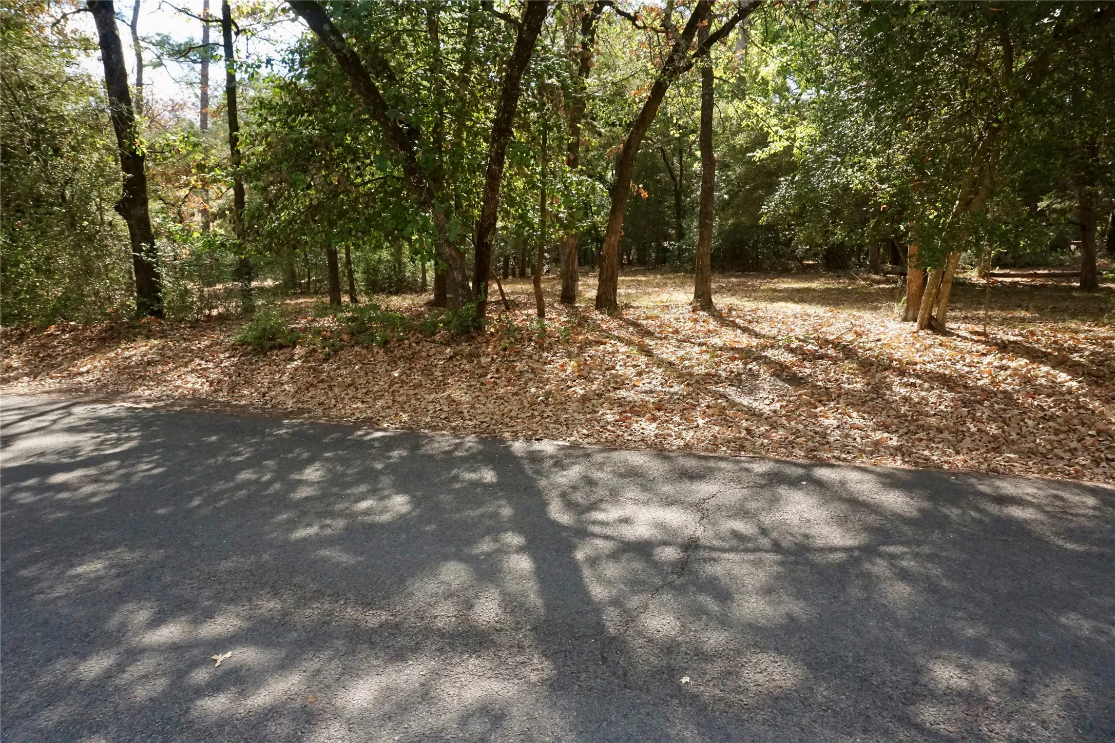 Unimproved Land For Sale in Wood County , TBD Lot 146 (Evening Shadows Trail) Trail, Holly Lake Ranch, Texas 75765, 0, 0, Garage spaces, 0 Sqft, built in 0, mls#21379461, Real Estate Agent in Holly Lake Ranch, Homes For Sale in Wood county, Homes For Sale in Holly Lake Ranch, Realtor in Holly Lake Ranch Texas, Real Estate Brokerage Independent Realty Texas, Luminita Cordes Realtor