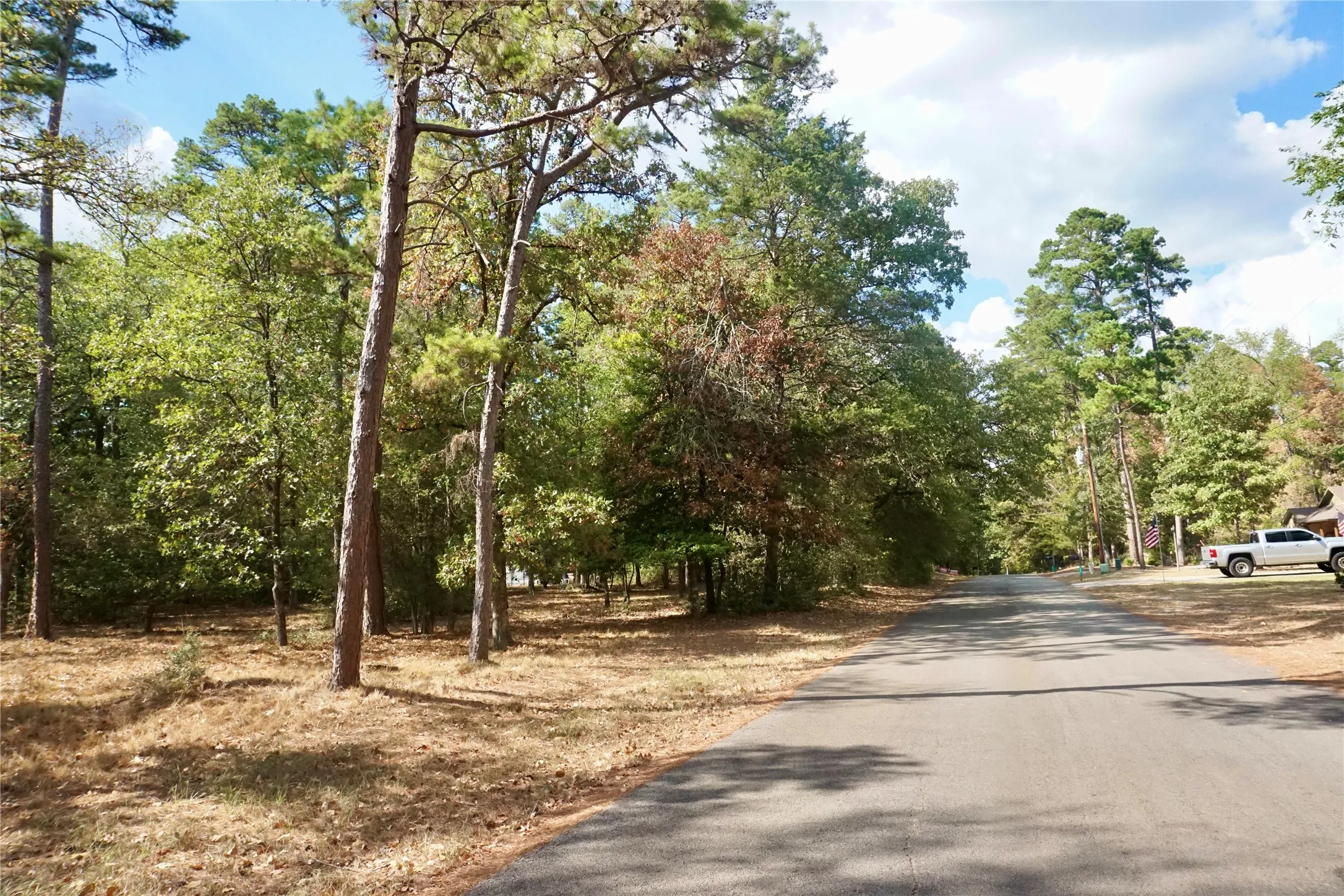 Unimproved Land For Sale in Wood County , TBD Lot 146 (Evening Shadows Trail) Trail, Holly Lake Ranch, Texas 75765, 0, 0, Garage spaces, 0 Sqft, built in 0, mls#21379461, Real Estate Agent in Holly Lake Ranch, Homes For Sale in Wood county, Homes For Sale in Holly Lake Ranch, Realtor in Holly Lake Ranch Texas, Real Estate Brokerage Independent Realty Texas, Luminita Cordes Realtor