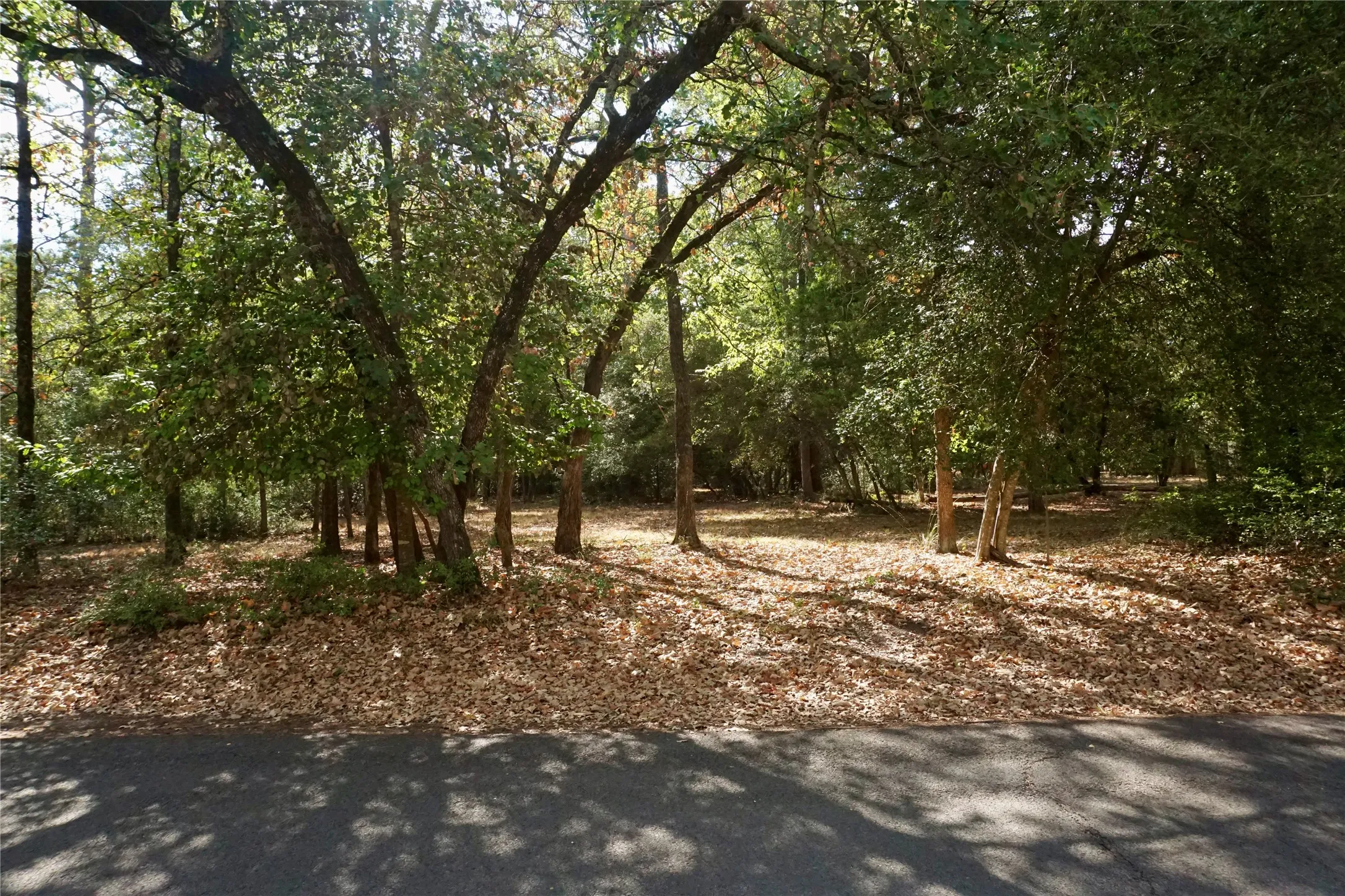 Unimproved Land For Sale in Wood County , TBD Lot 146 (Evening Shadows Trail) Trail, Holly Lake Ranch, Texas 75765, 0, 0, Garage spaces, 0 Sqft, built in 0, mls#21379461, Real Estate Agent in Holly Lake Ranch, Homes For Sale in Wood county, Homes For Sale in Holly Lake Ranch, Realtor in Holly Lake Ranch Texas, Real Estate Brokerage Independent Realty Texas, Luminita Cordes Realtor