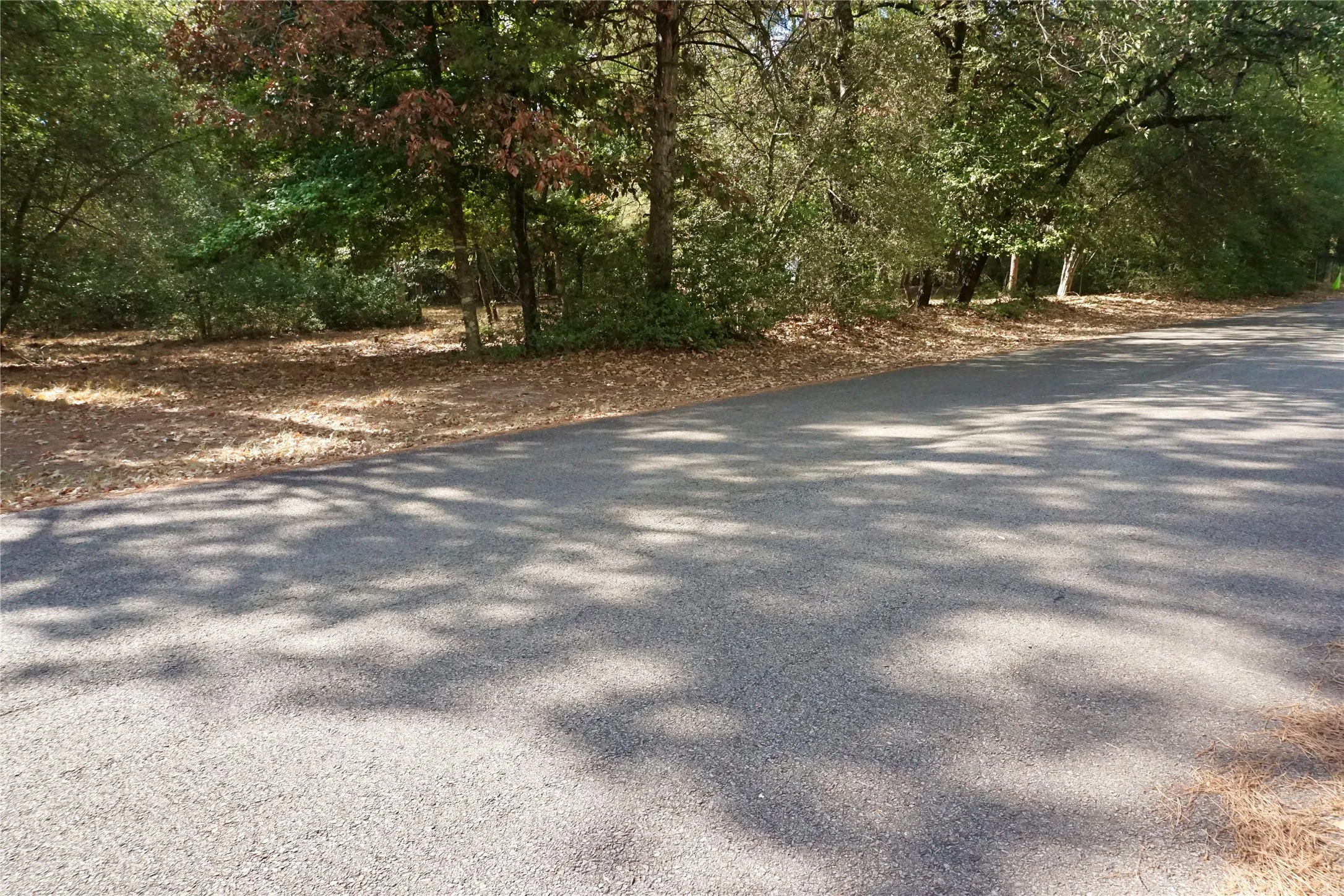 Unimproved Land For Sale in Wood County , TBD Lot 146 (Evening Shadows Trail) Trail, Holly Lake Ranch, Texas 75765, 0, 0, Garage spaces, 0 Sqft, built in 0, mls#21379461, Real Estate Agent in Holly Lake Ranch, Homes For Sale in Wood county, Homes For Sale in Holly Lake Ranch, Realtor in Holly Lake Ranch Texas, Real Estate Brokerage Independent Realty Texas, Luminita Cordes Realtor