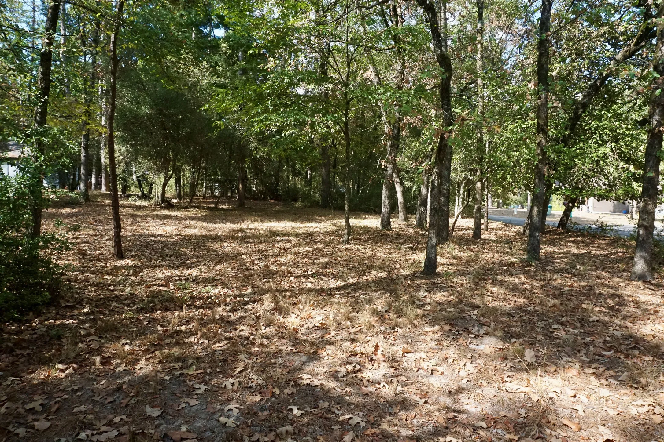 Unimproved Land For Sale in Wood County , TBD Lot 146 (Evening Shadows Trail) Trail, Holly Lake Ranch, Texas 75765, 0, 0, Garage spaces, 0 Sqft, built in 0, mls#21379461, Real Estate Agent in Holly Lake Ranch, Homes For Sale in Wood county, Homes For Sale in Holly Lake Ranch, Realtor in Holly Lake Ranch Texas, Real Estate Brokerage Independent Realty Texas, Luminita Cordes Realtor