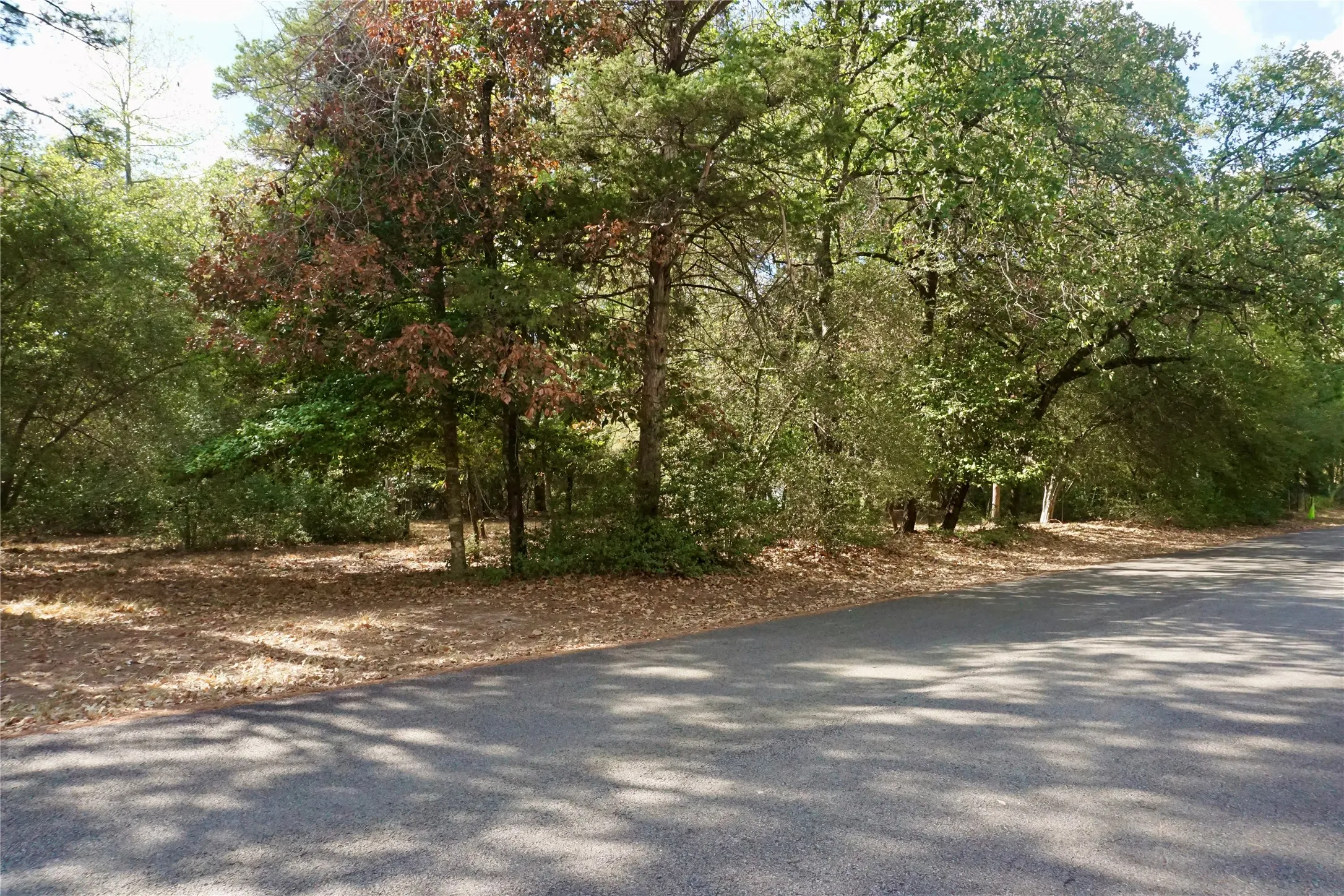 Unimproved Land For Sale in Wood County , TBD Lot 146 (Evening Shadows Trail) Trail, Holly Lake Ranch, Texas 75765, 0, 0, Garage spaces, 0 Sqft, built in 0, mls#21379461, Real Estate Agent in Holly Lake Ranch, Homes For Sale in Wood county, Homes For Sale in Holly Lake Ranch, Realtor in Holly Lake Ranch Texas, Real Estate Brokerage Independent Realty Texas, Luminita Cordes Realtor