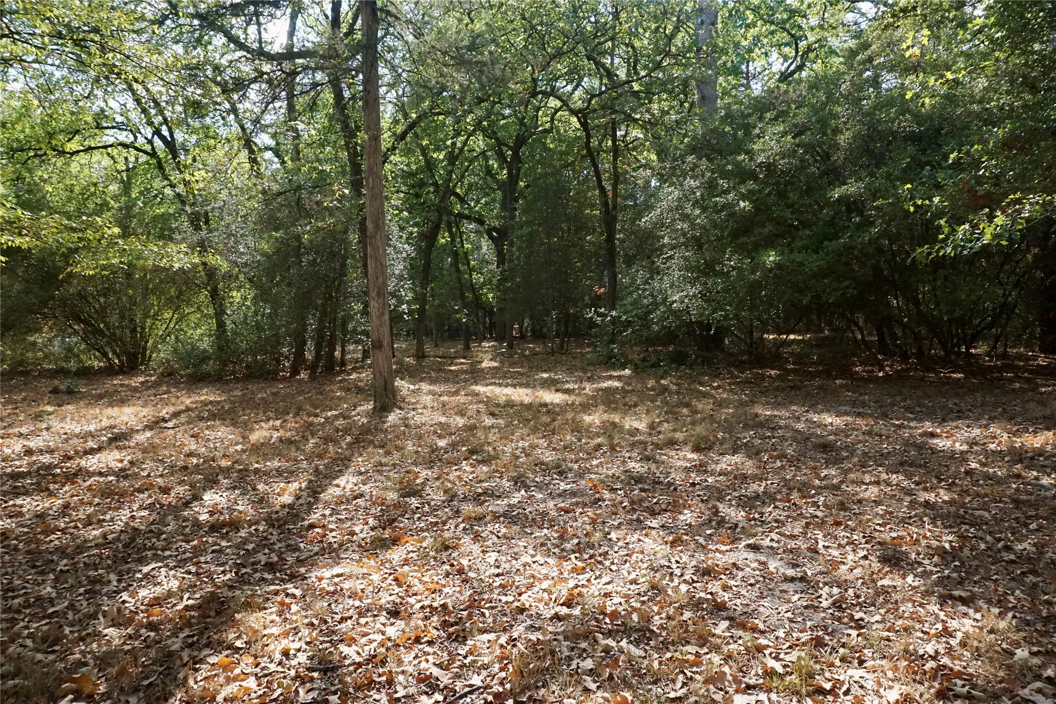 Unimproved Land For Sale in Wood County , TBD Lot 146 (Evening Shadows Trail) Trail, Holly Lake Ranch, Texas 75765, 0, 0, Garage spaces, 0 Sqft, built in 0, mls#21379461, Real Estate Agent in Holly Lake Ranch, Homes For Sale in Wood county, Homes For Sale in Holly Lake Ranch, Realtor in Holly Lake Ranch Texas, Real Estate Brokerage Independent Realty Texas, Luminita Cordes Realtor