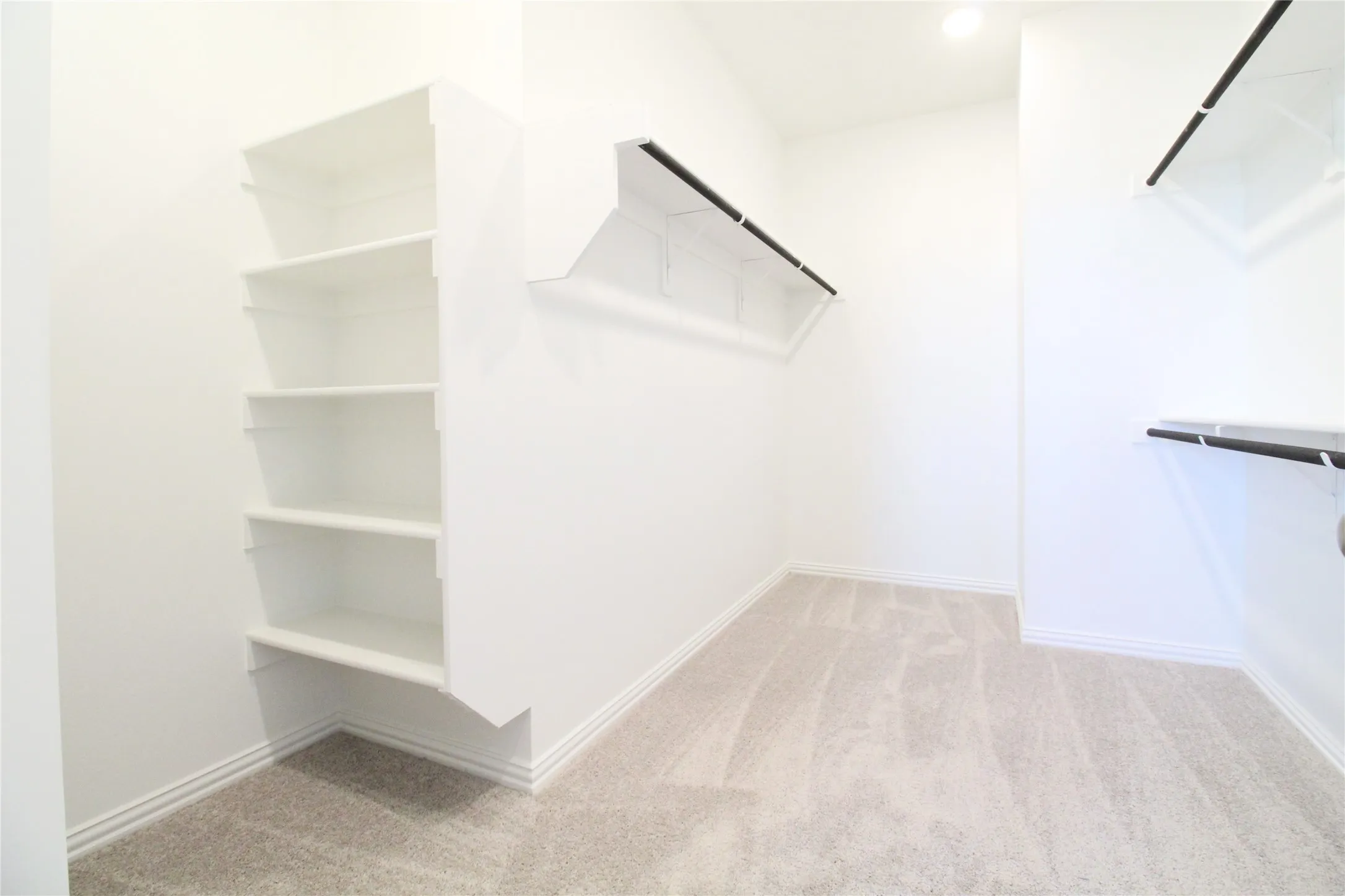 Walk-in closet featuring built-in shelving, wire racks, and neutral-toned carpeting