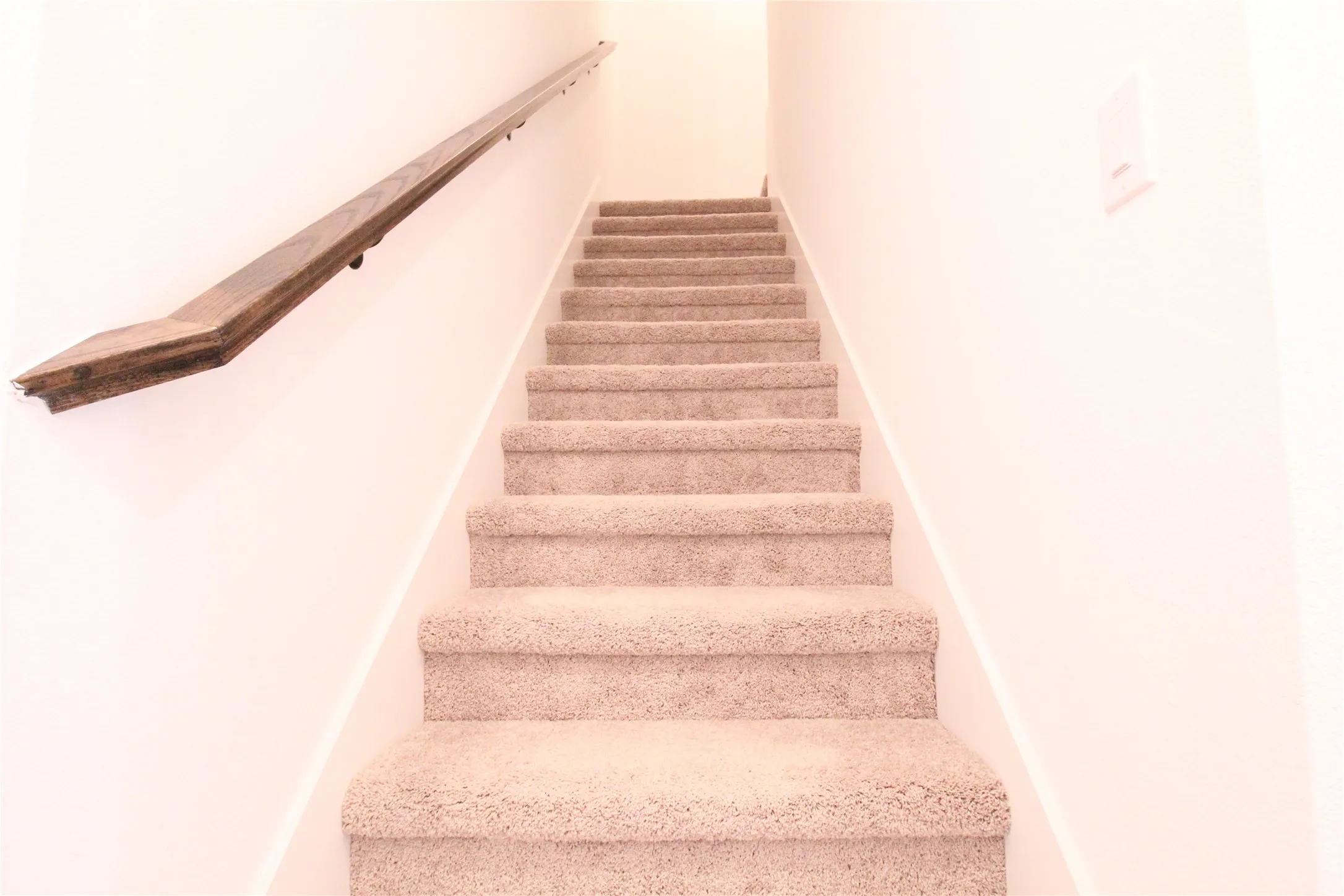 Carpeted staircase featuring a wood-finish handrail and light-toned wall finishes
