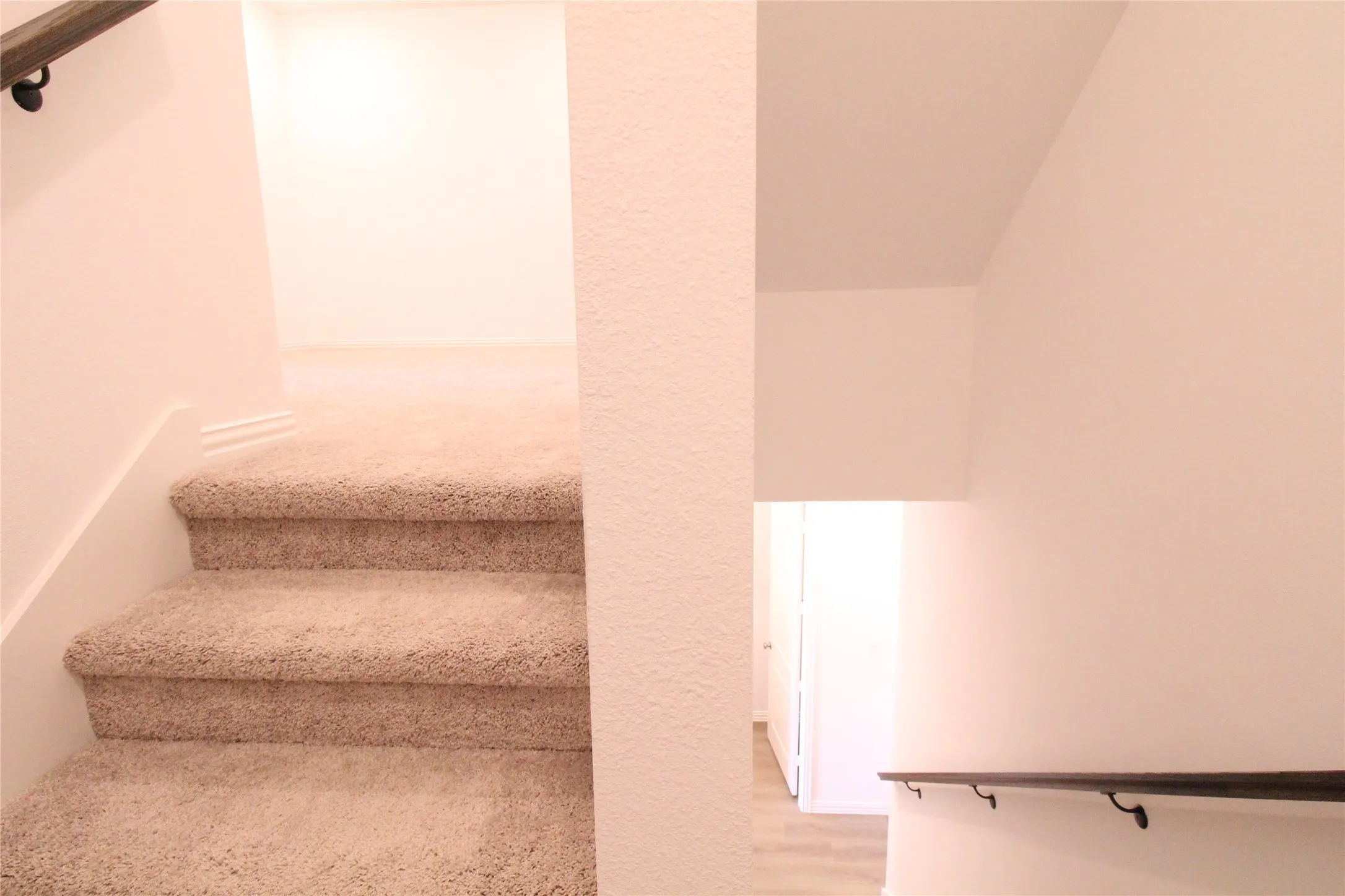 Carpeted staircase with dark wood-finish handrail, white trim, and light-toned walls