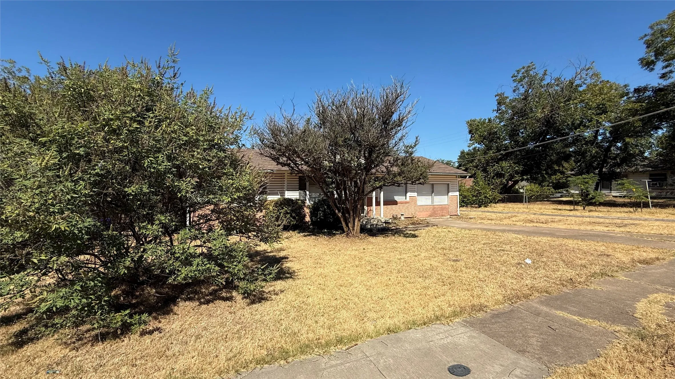 Front yard with established trees and a sidewalk
