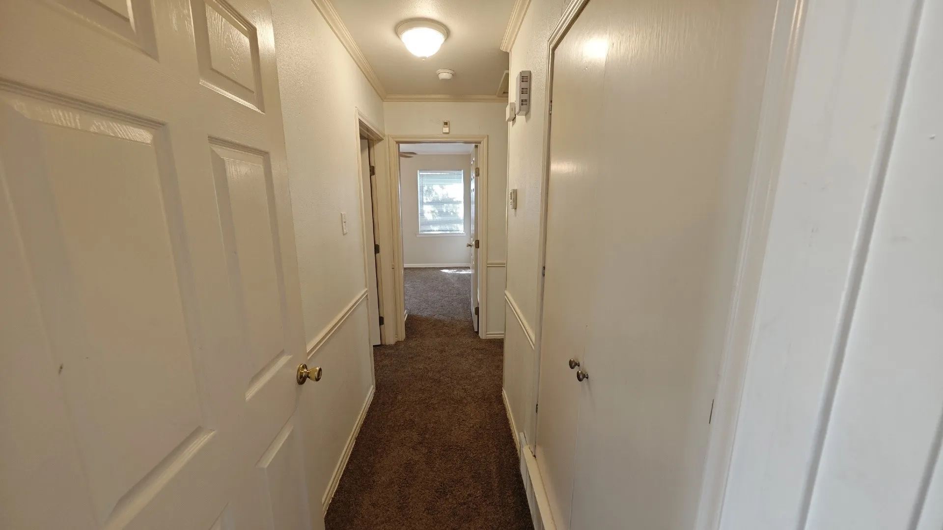 Hallway with neutral carpet, white panel doors, and chair rail molding