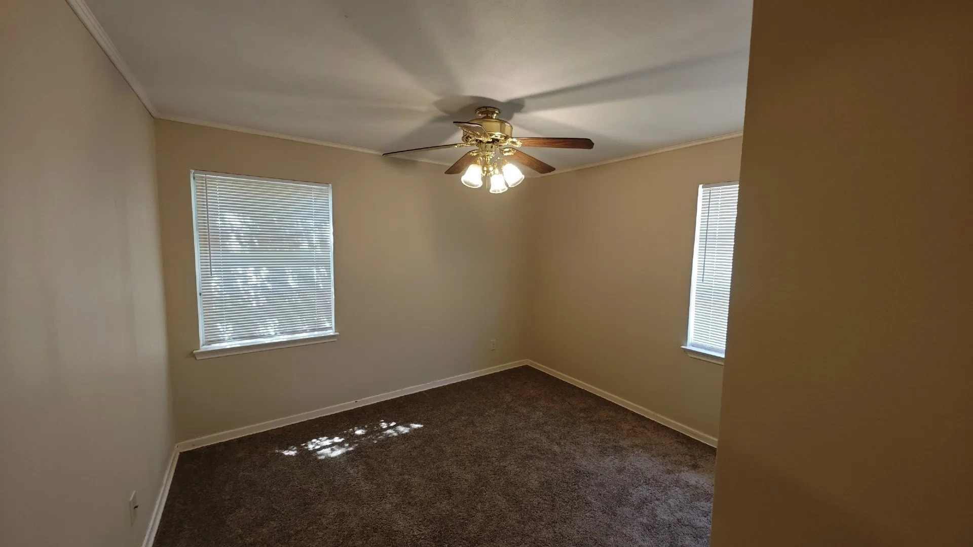 Carpeted flooring, two windows with blinds, ceiling fan with integrated lighting, and neutral wall tones