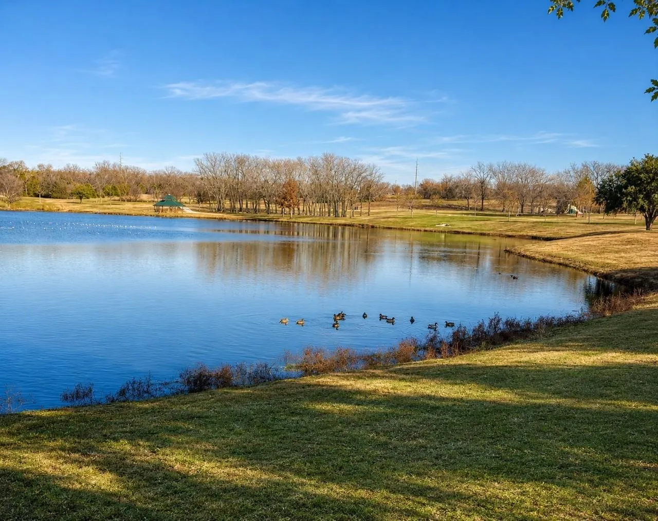 Single Family Residence For Sale in Collin County , 3205 Merita Drive, Richardson, Texas 75082, 5 Bedroom, 4 Bathroom, 3 Garage spaces, 3,425 Sqft, built in 1999, mls#21364332, Real Estate Agent in Richardson, Homes For Sale in Collin county, Homes For Sale in Richardson, Realtor in Richardson Texas, Real Estate Brokerage Independent Realty Texas, Luminita Cordes Realtor