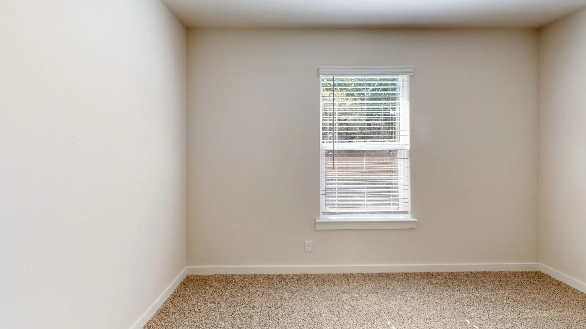 Neutral wall paint with textured finish, window featuring horizontal blinds, and carpeting