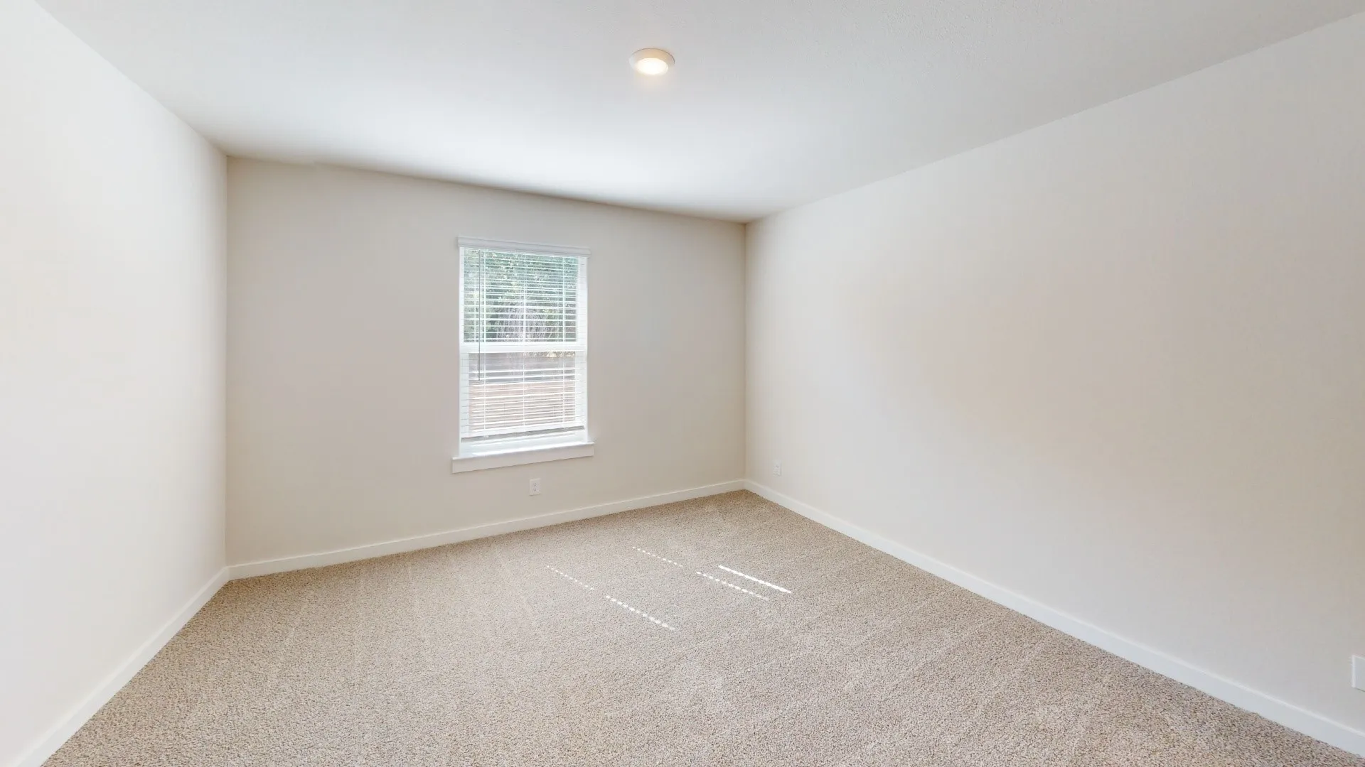 Neutral wall paint with carpet flooring and a single window