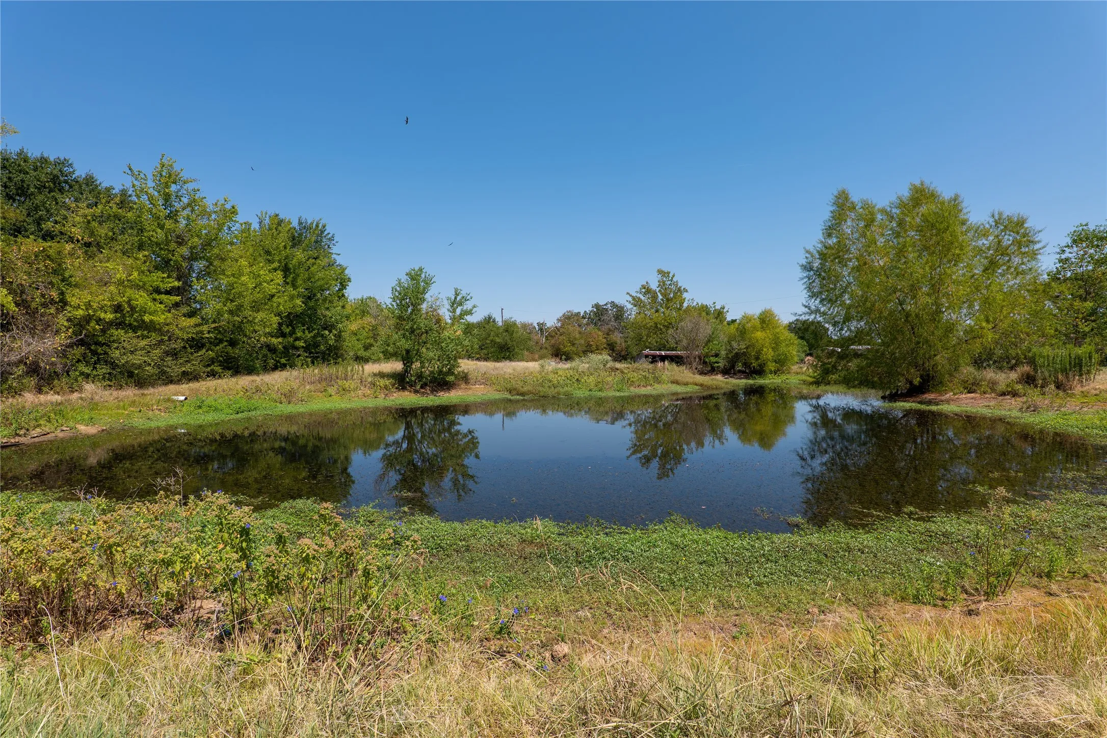 Single Family Residence For Sale in Van Zandt County , 207 Southridge Road, Edgewood, Texas 75117, 5 Bedroom, 2 Bathroom, 2 Garage spaces, 3,327 Sqft, built in 1983, mls#21379450, Real Estate Agent in Edgewood, Homes For Sale in Van Zandt county, Homes For Sale in Edgewood, Realtor in Edgewood Texas, Real Estate Brokerage Independent Realty Texas, Luminita Cordes Realtor