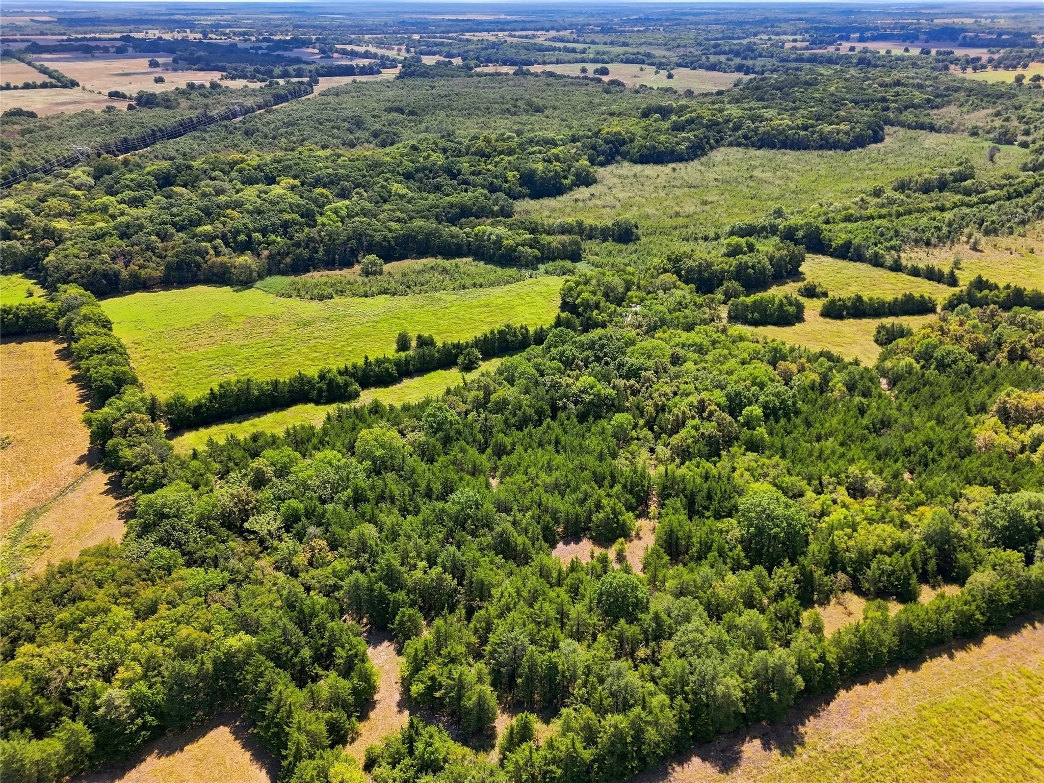 Unimproved Land For Sale in Lamar County , 0000 Farm Road 905, Pattonville, Texas 75468, 0, 0, Garage spaces, 0 Sqft, built in 0, mls#21379483, Real Estate Agent in Pattonville, Homes For Sale in Lamar county, Homes For Sale in Pattonville, Realtor in Pattonville Texas, Real Estate Brokerage Independent Realty Texas, Luminita Cordes Realtor