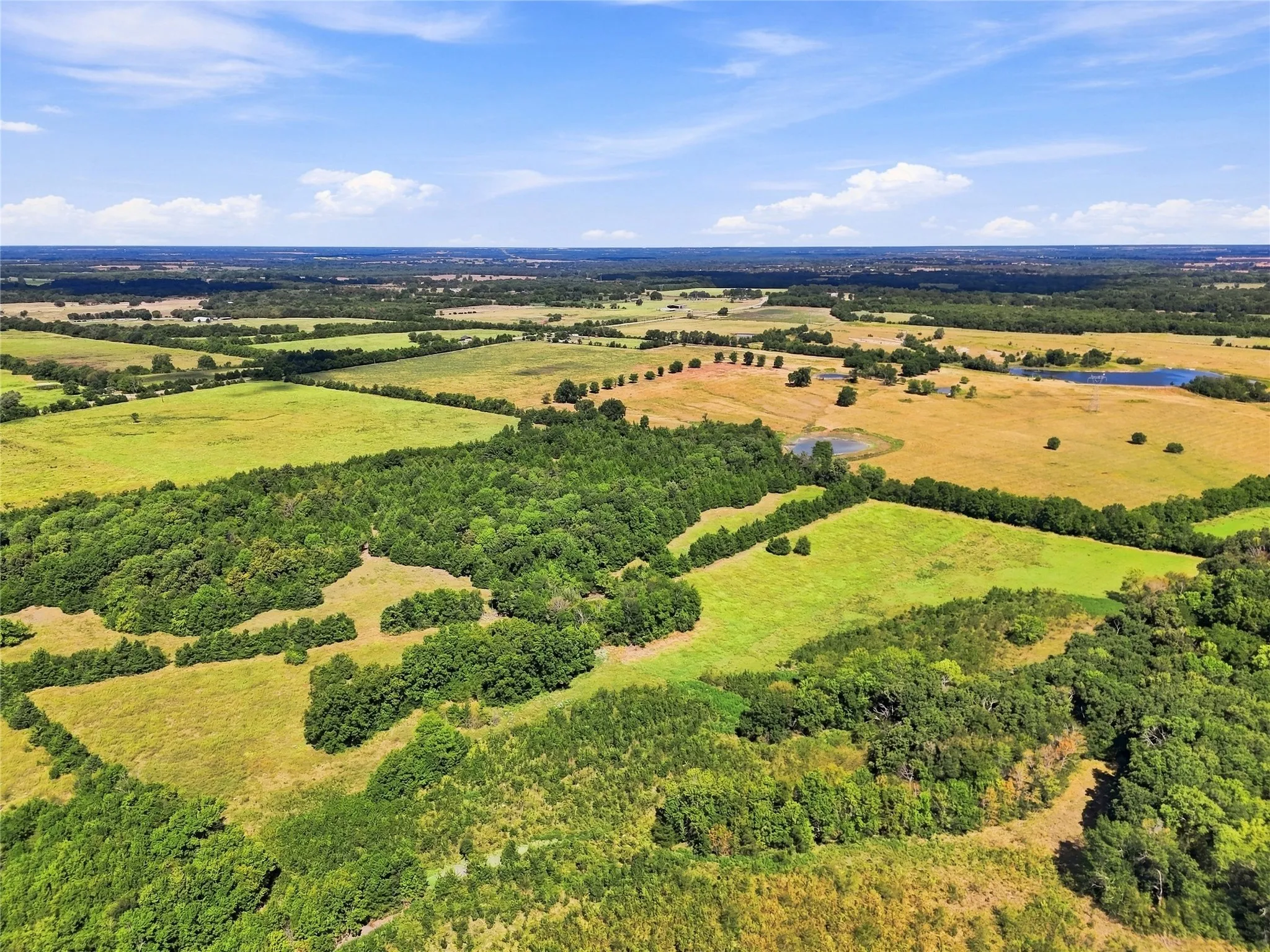 Unimproved Land For Sale in Lamar County , 0000 Farm Road 905, Pattonville, Texas 75468, 0, 0, Garage spaces, 0 Sqft, built in 0, mls#21379483, Real Estate Agent in Pattonville, Homes For Sale in Lamar county, Homes For Sale in Pattonville, Realtor in Pattonville Texas, Real Estate Brokerage Independent Realty Texas, Luminita Cordes Realtor