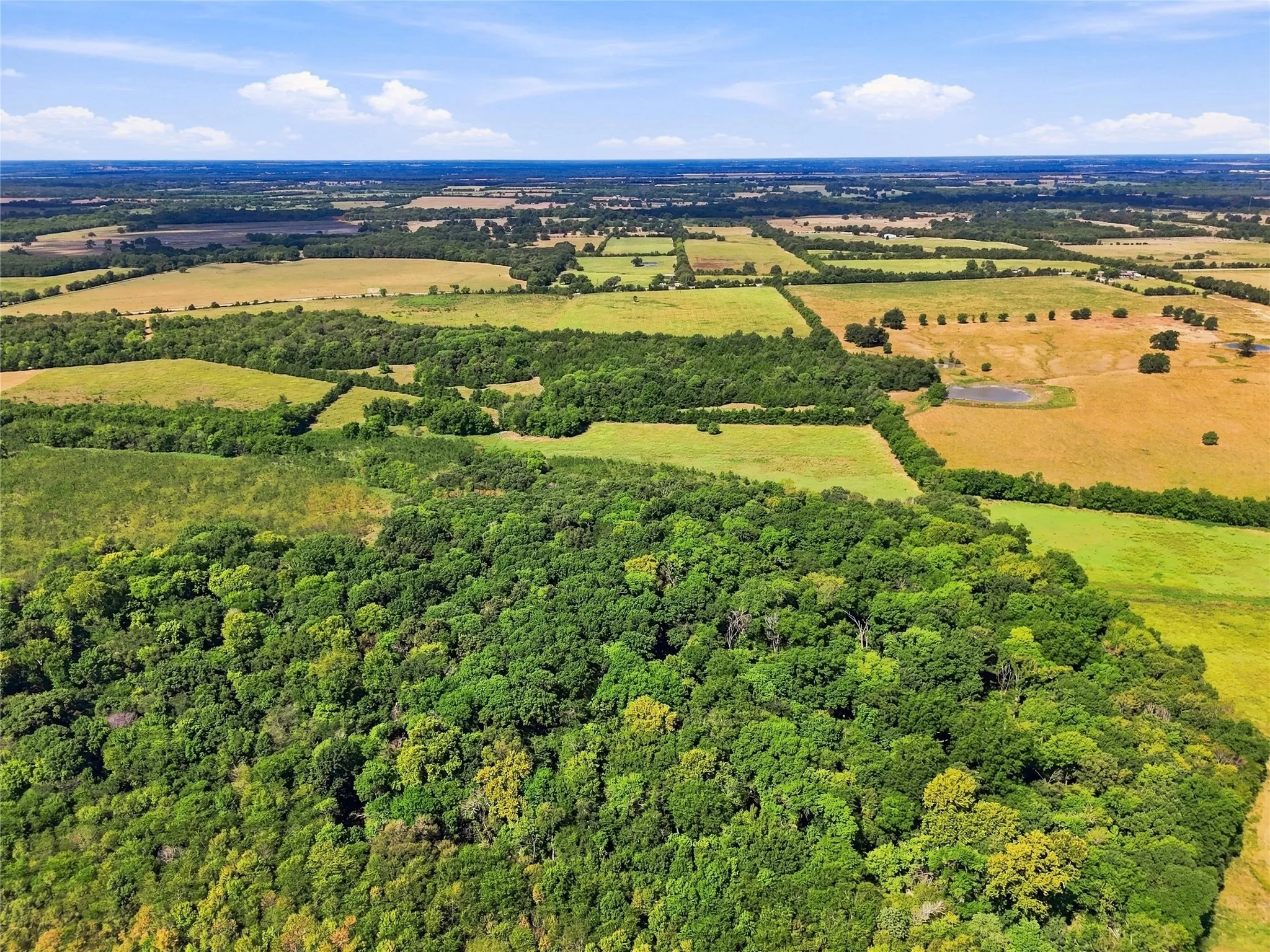 Unimproved Land For Sale in Lamar County , 0000 Farm Road 905, Pattonville, Texas 75468, 0, 0, Garage spaces, 0 Sqft, built in 0, mls#21379483, Real Estate Agent in Pattonville, Homes For Sale in Lamar county, Homes For Sale in Pattonville, Realtor in Pattonville Texas, Real Estate Brokerage Independent Realty Texas, Luminita Cordes Realtor