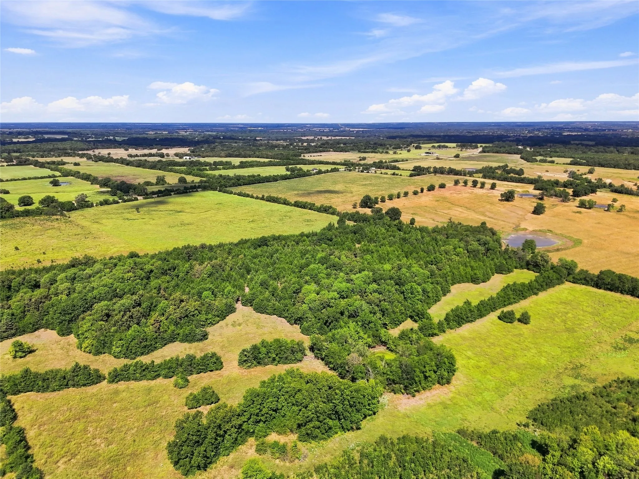 Unimproved Land For Sale in Lamar County , 0000 Farm Road 905, Pattonville, Texas 75468, 0, 0, Garage spaces, 0 Sqft, built in 0, mls#21379483, Real Estate Agent in Pattonville, Homes For Sale in Lamar county, Homes For Sale in Pattonville, Realtor in Pattonville Texas, Real Estate Brokerage Independent Realty Texas, Luminita Cordes Realtor