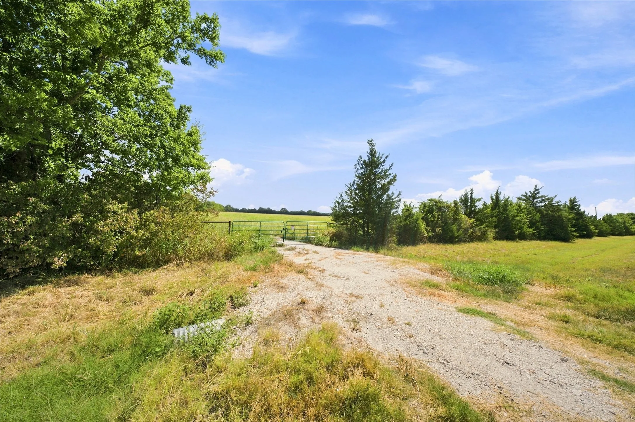 Unimproved Land For Sale in Lamar County , 0000 Farm Road 905, Pattonville, Texas 75468, 0, 0, Garage spaces, 0 Sqft, built in 0, mls#21379483, Real Estate Agent in Pattonville, Homes For Sale in Lamar county, Homes For Sale in Pattonville, Realtor in Pattonville Texas, Real Estate Brokerage Independent Realty Texas, Luminita Cordes Realtor