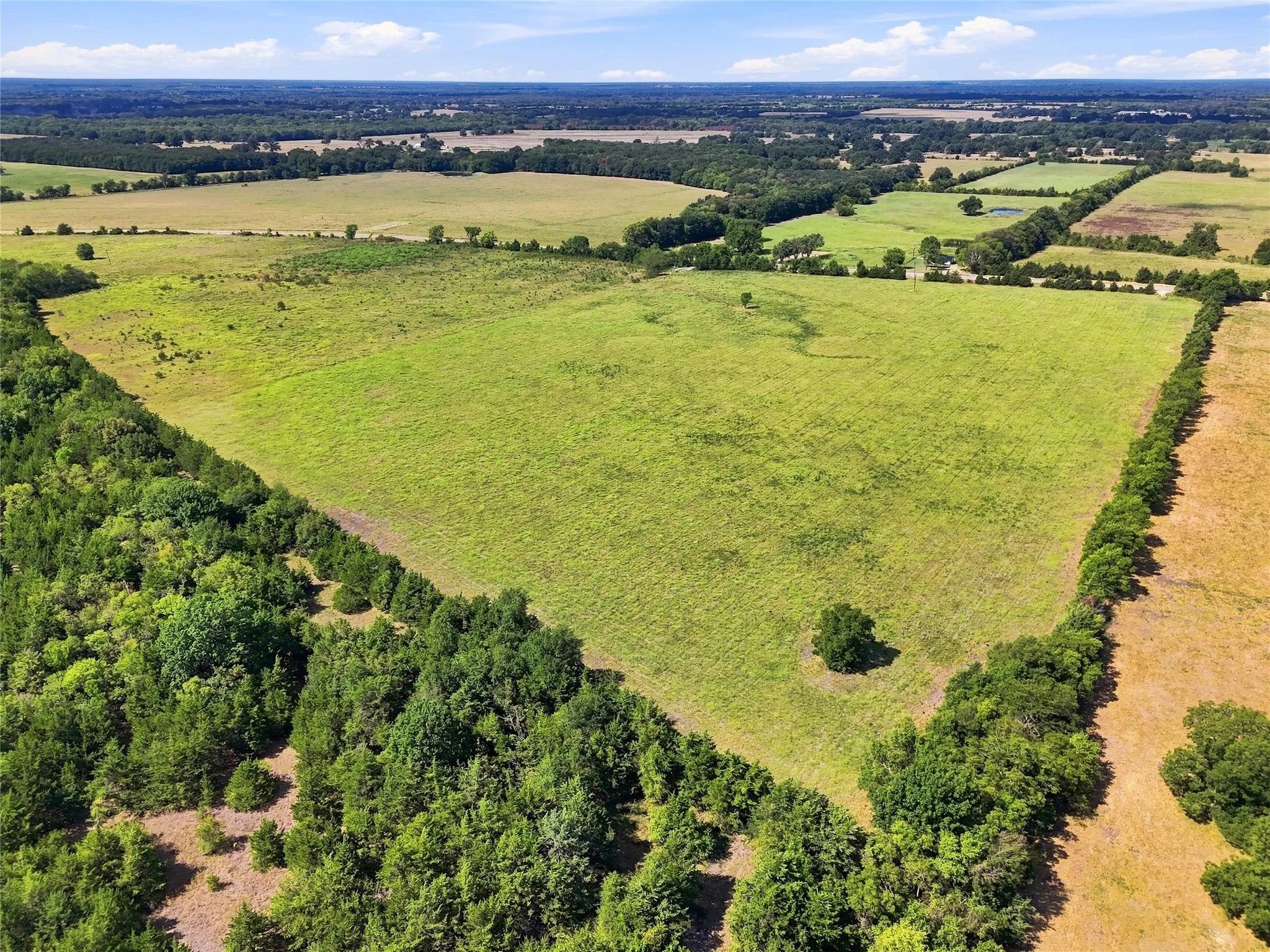 Unimproved Land For Sale in Lamar County , 0000 Farm Road 905, Pattonville, Texas 75468, 0, 0, Garage spaces, 0 Sqft, built in 0, mls#21379483, Real Estate Agent in Pattonville, Homes For Sale in Lamar county, Homes For Sale in Pattonville, Realtor in Pattonville Texas, Real Estate Brokerage Independent Realty Texas, Luminita Cordes Realtor