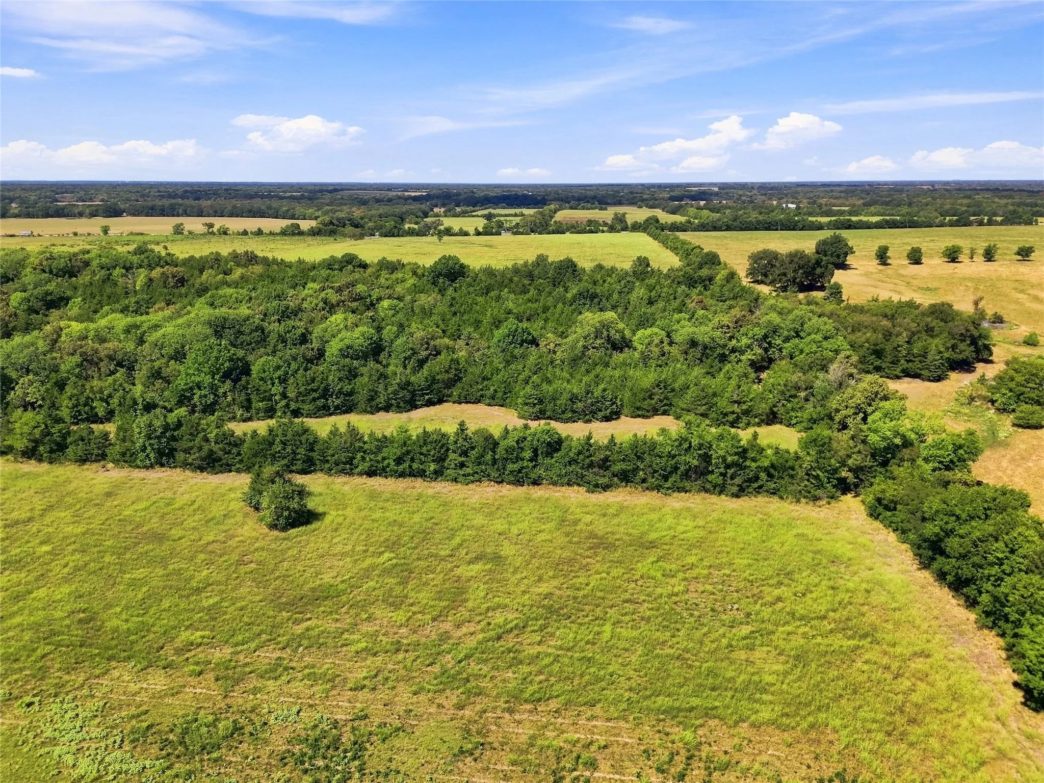 Unimproved Land For Sale in Lamar County , 0000 Farm Road 905, Pattonville, Texas 75468, 0, 0, Garage spaces, 0 Sqft, built in 0, mls#21379483, Real Estate Agent in Pattonville, Homes For Sale in Lamar county, Homes For Sale in Pattonville, Realtor in Pattonville Texas, Real Estate Brokerage Independent Realty Texas, Luminita Cordes Realtor