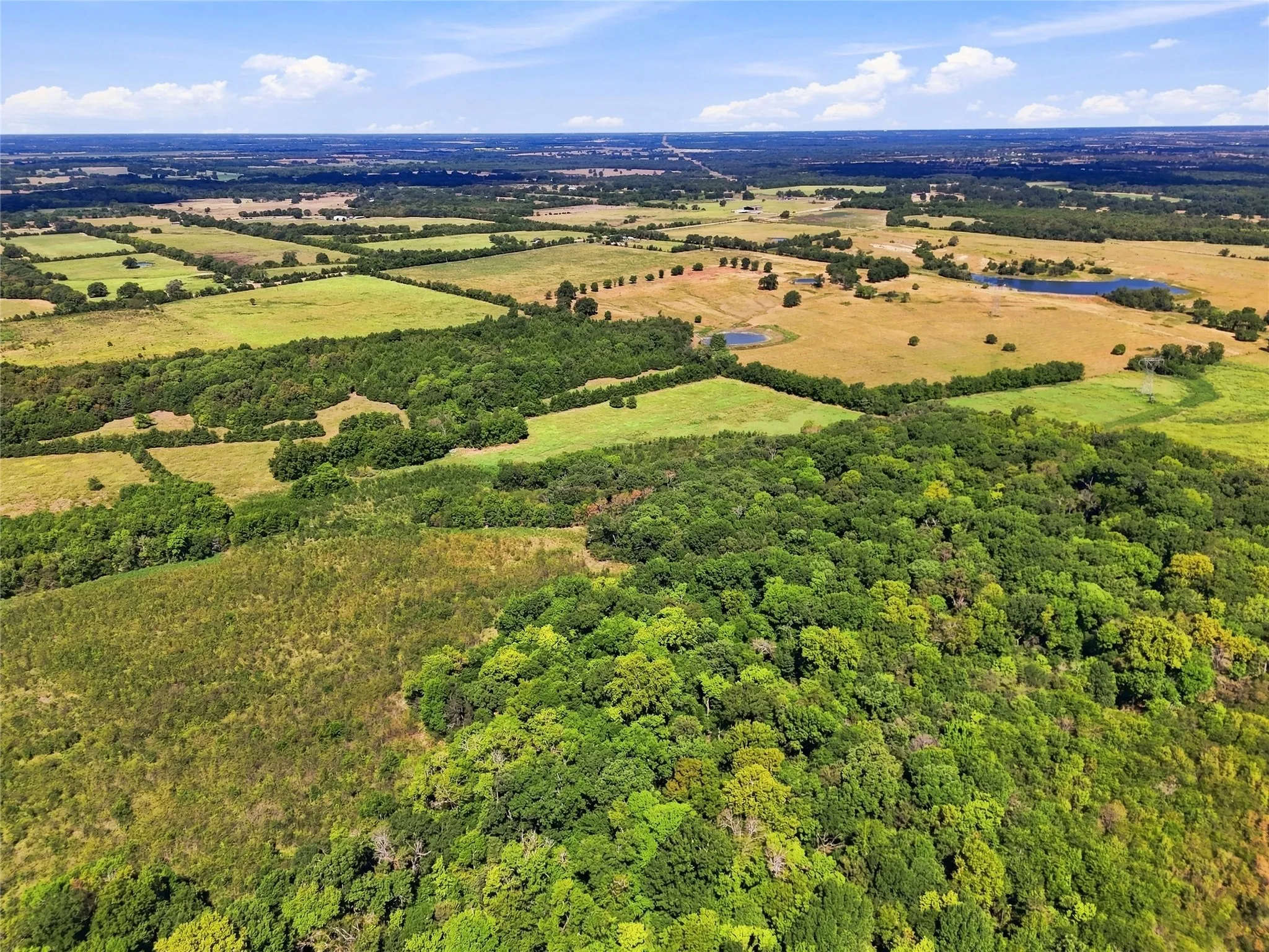 Unimproved Land For Sale in Lamar County , 0000 Farm Road 905, Pattonville, Texas 75468, 0, 0, Garage spaces, 0 Sqft, built in 0, mls#21379483, Real Estate Agent in Pattonville, Homes For Sale in Lamar county, Homes For Sale in Pattonville, Realtor in Pattonville Texas, Real Estate Brokerage Independent Realty Texas, Luminita Cordes Realtor