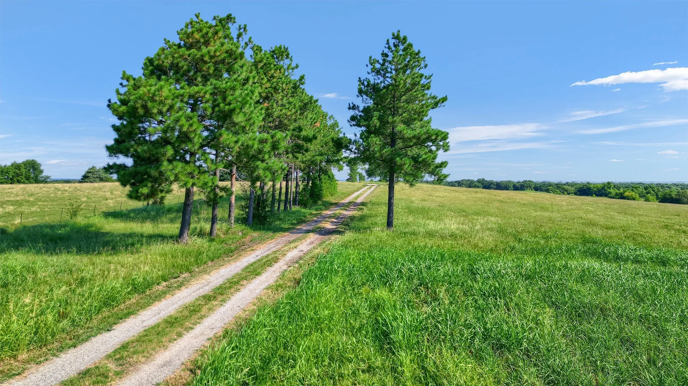 Single Family Residence For Sale in Fannin County , 1200 County Road 1215, Savoy, Texas 75479, 1 Bedroom, 2 Bathroom, 2 Garage spaces, 1,536 Sqft, built in 2008, mls#21379574, Real Estate Agent in Savoy, Homes For Sale in Fannin county, Homes For Sale in Savoy, Realtor in Savoy Texas, Real Estate Brokerage Independent Realty Texas, Luminita Cordes Realtor