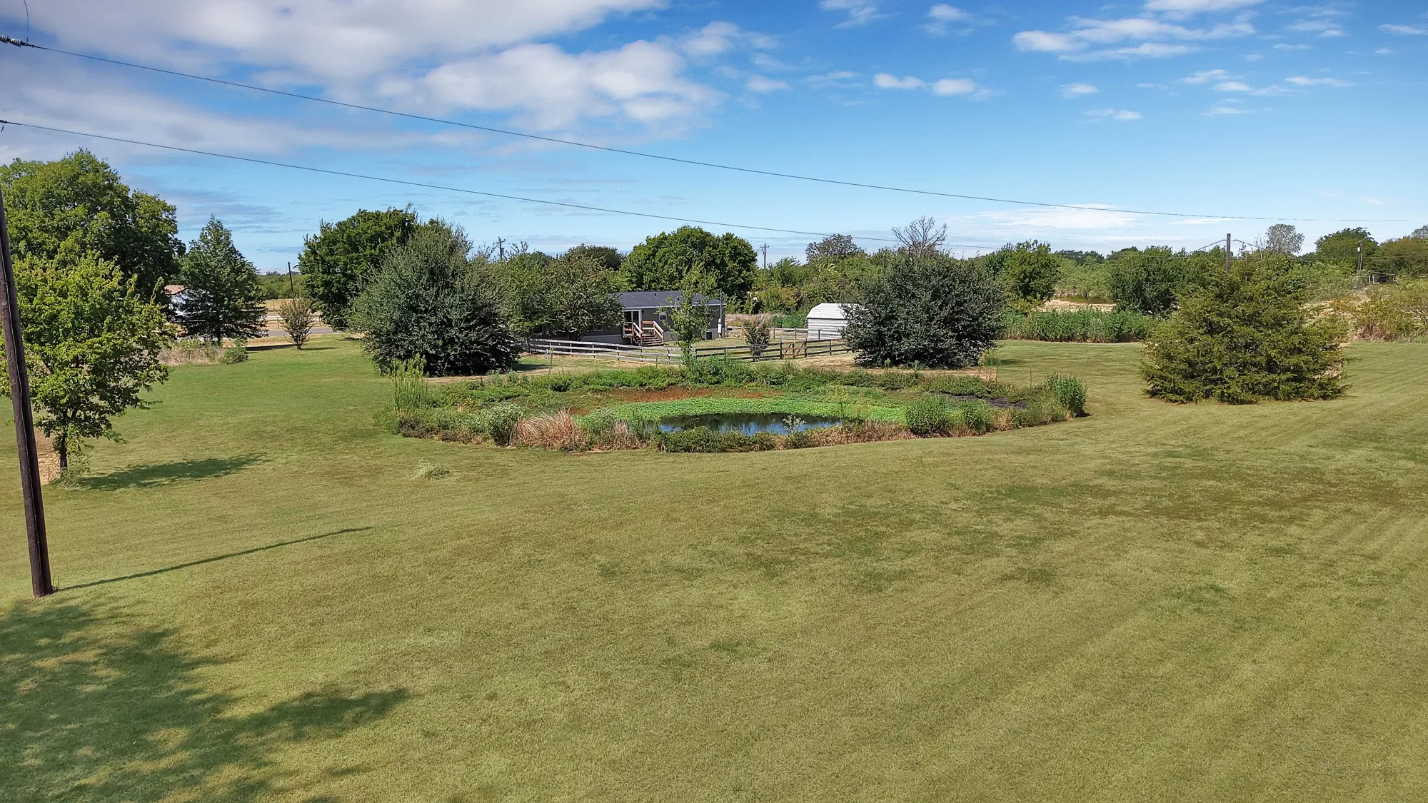 Expansive green lawn with mature trees and a tranquil pond feature
