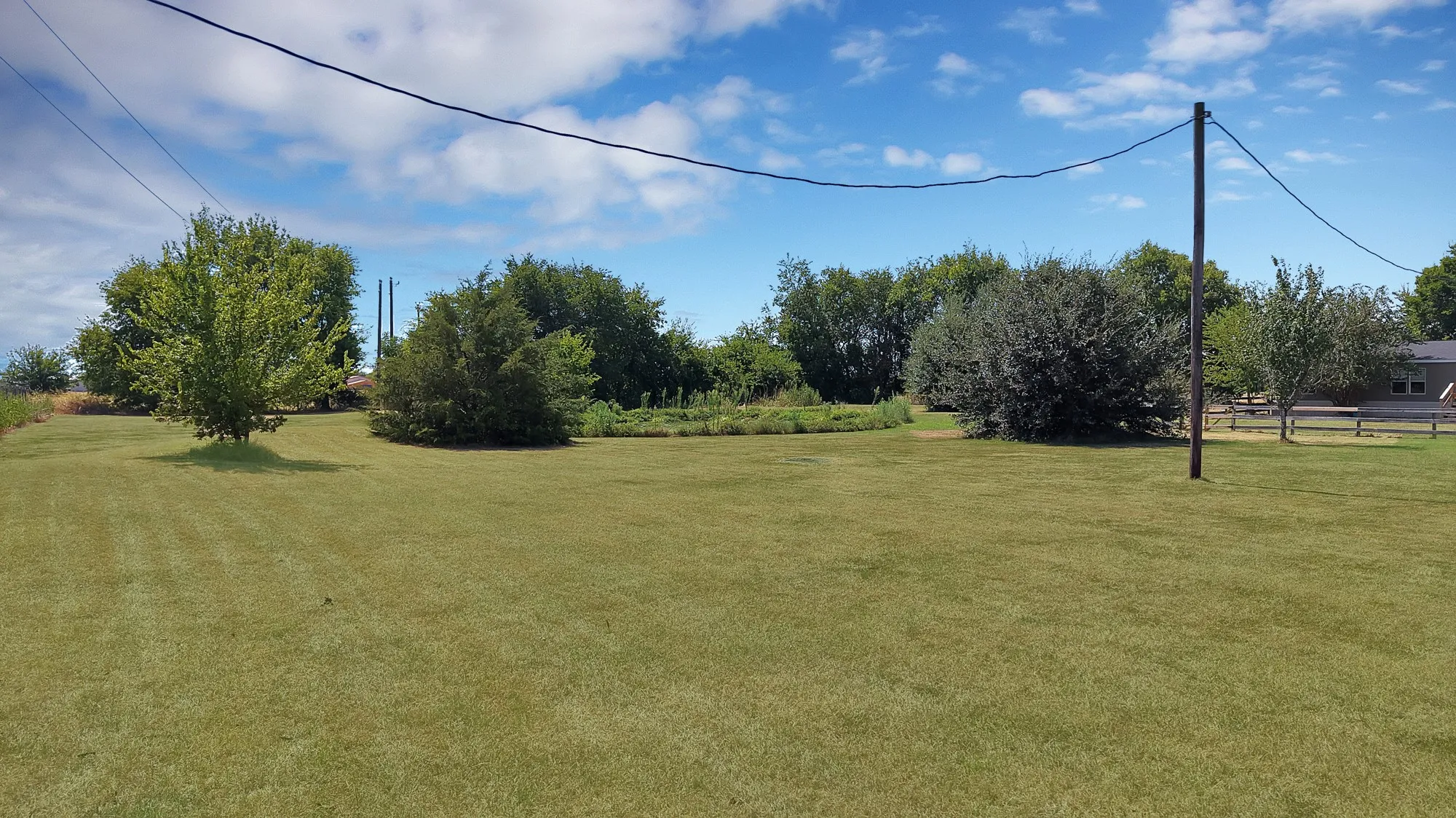 Expansive green lawn with mature trees and established landscaping