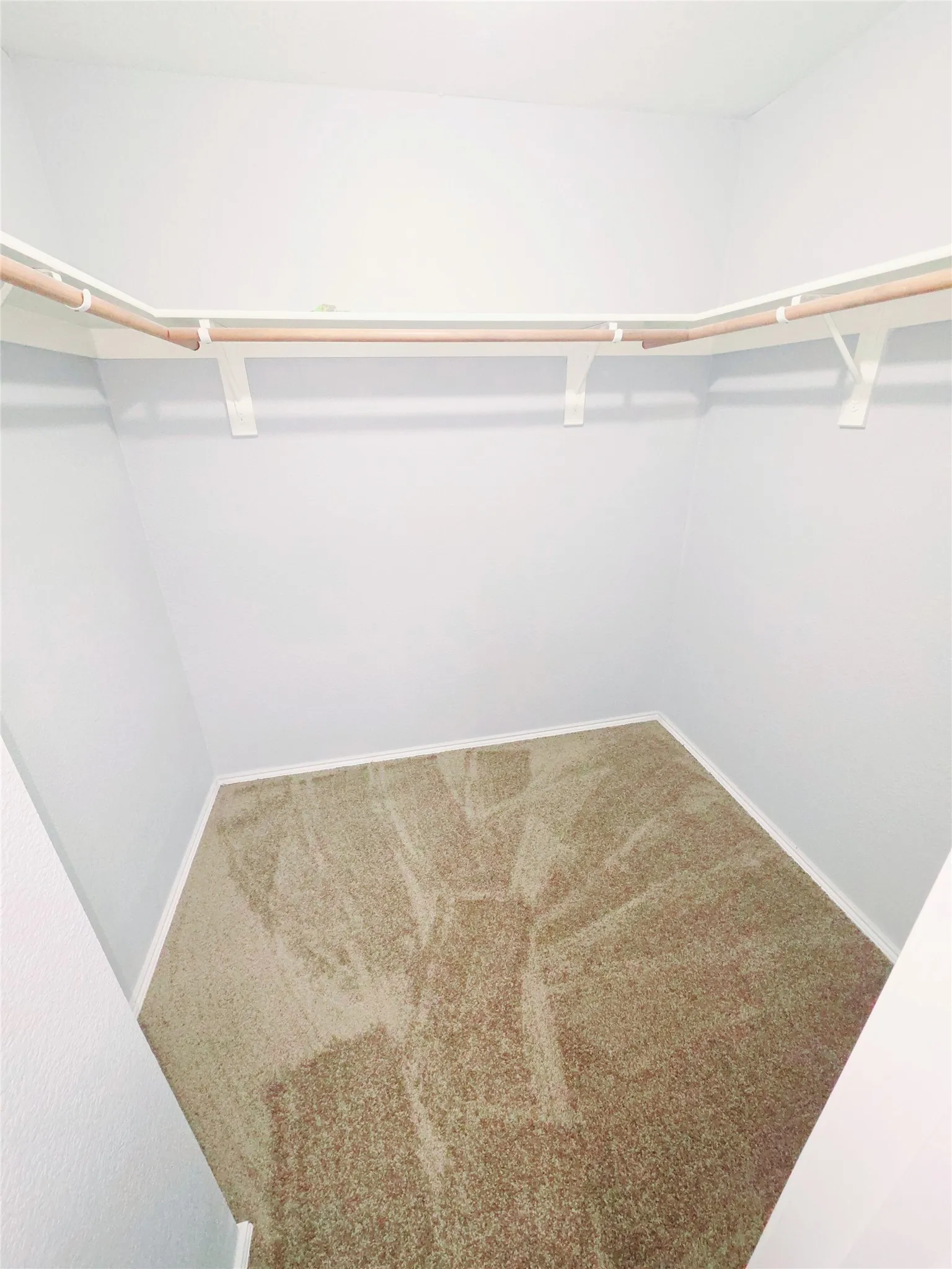 Walk-in closet with wall-to-wall new carpeting and built-in shelving