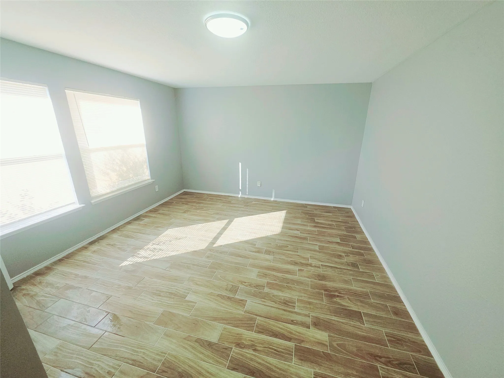 Bright lighting fixture, light gray wall paint, two windows with blinds, wood-like tile flooring, and closet.