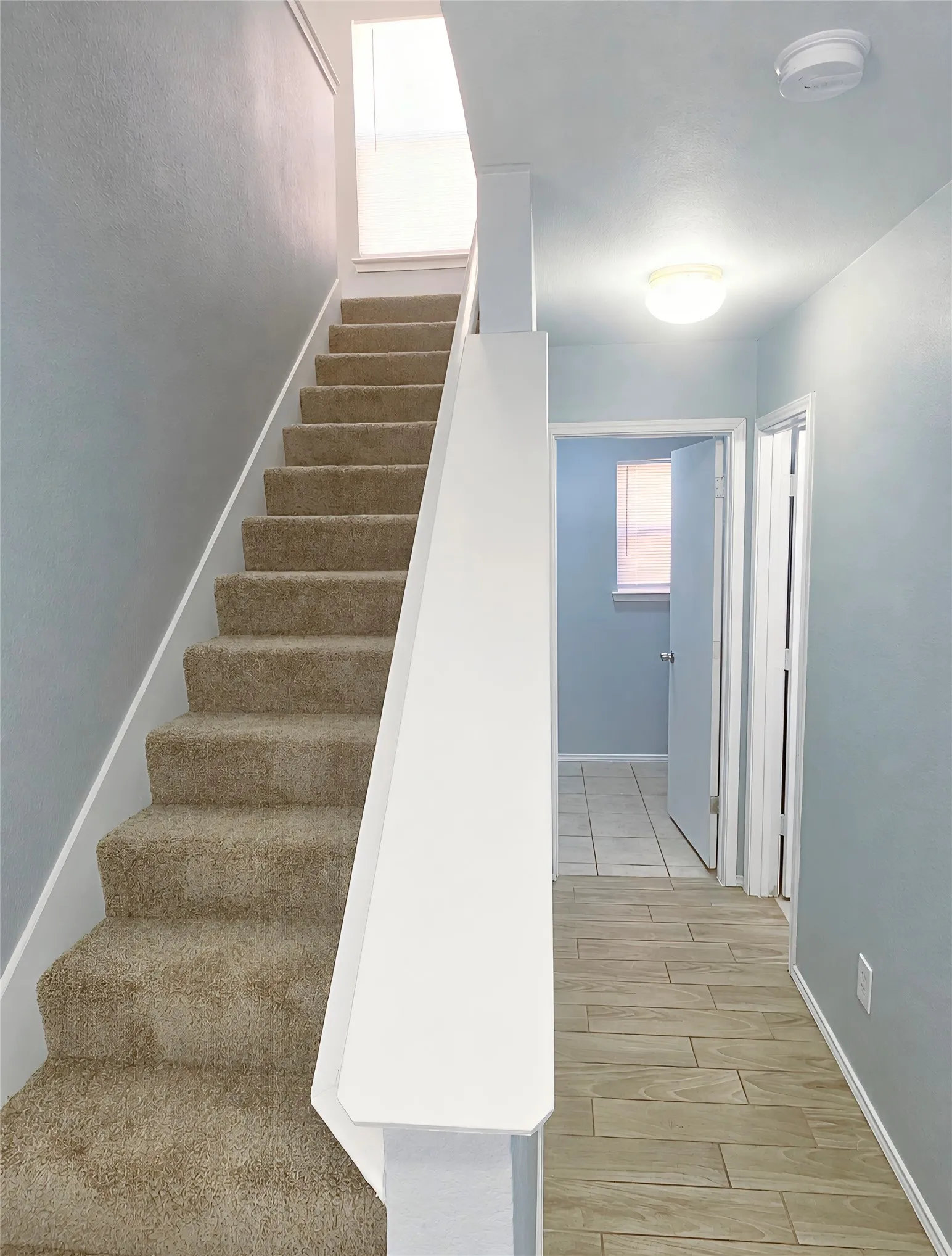 Staircase with new carpet and white handrail.