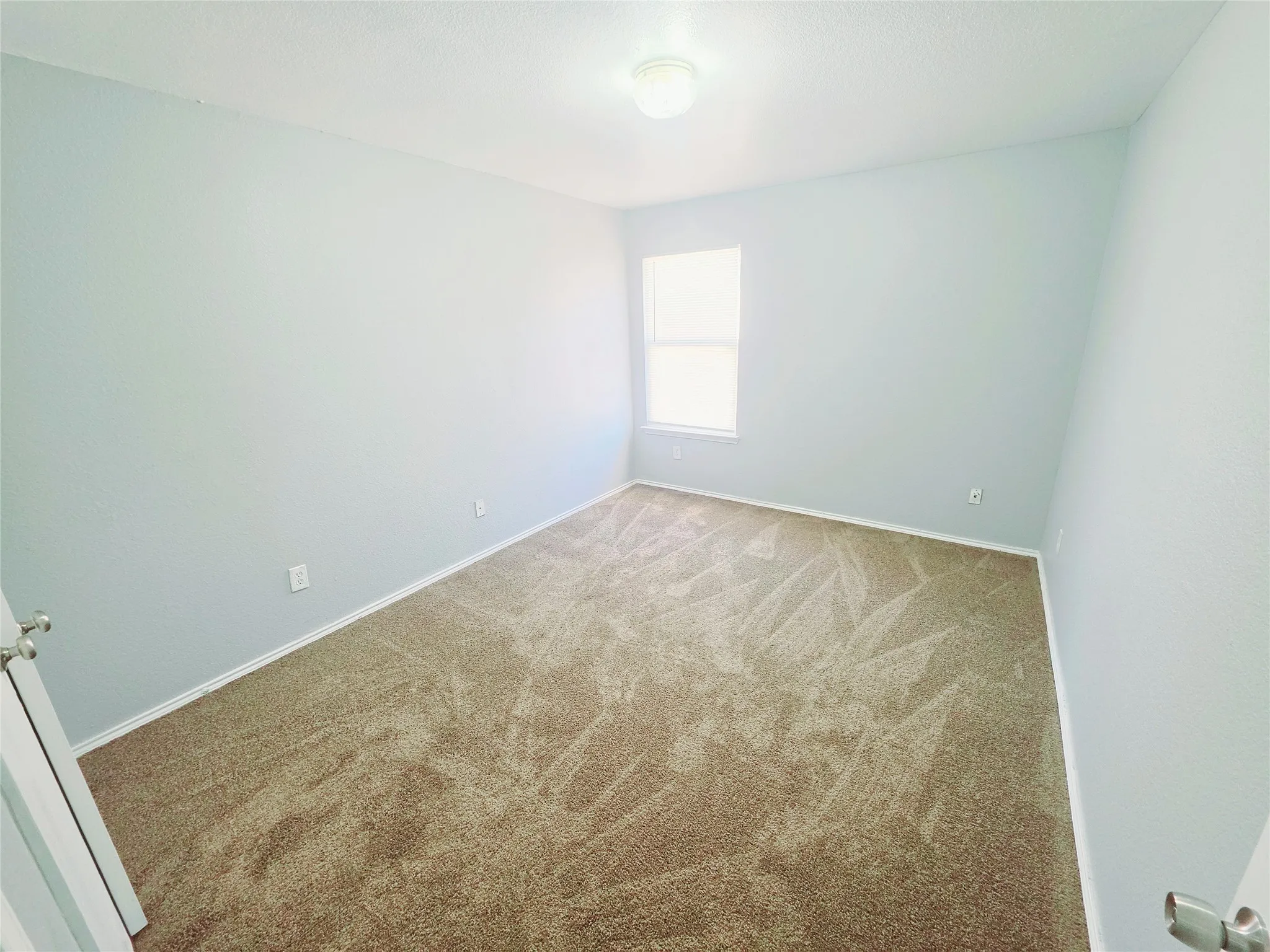 Neutral wall paint, new carpet, bright lighting, walk-in closet.