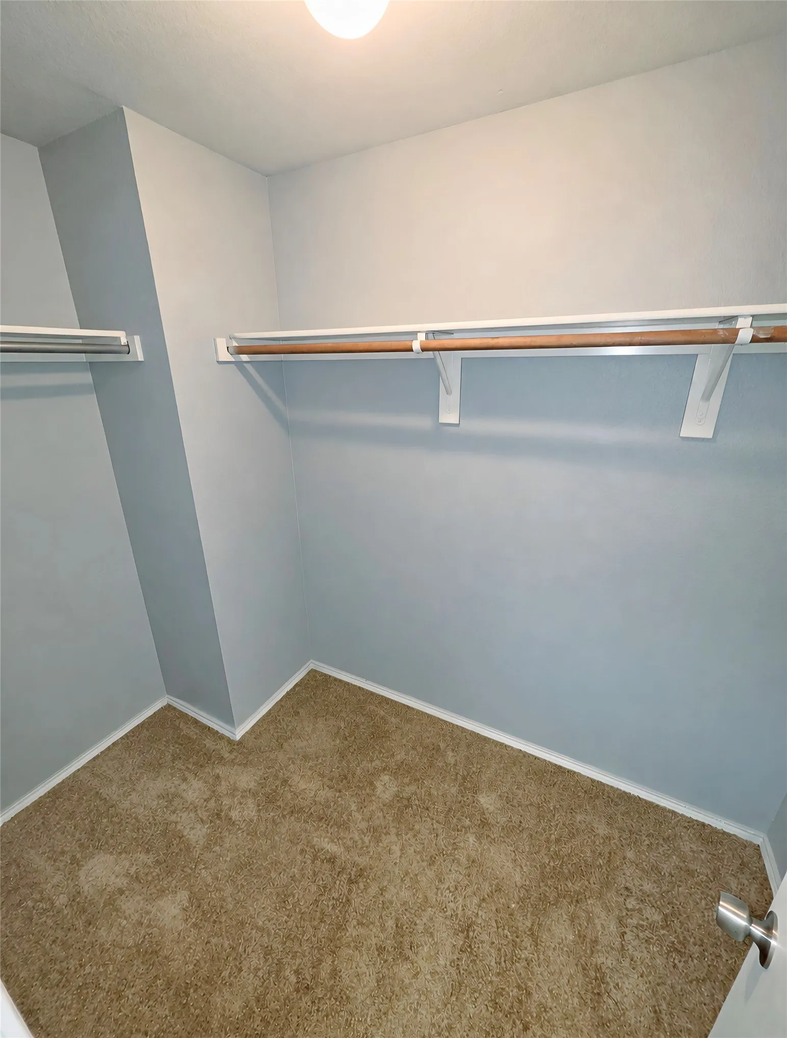 Bright lighting, with new carpet, and built-in closet shelving