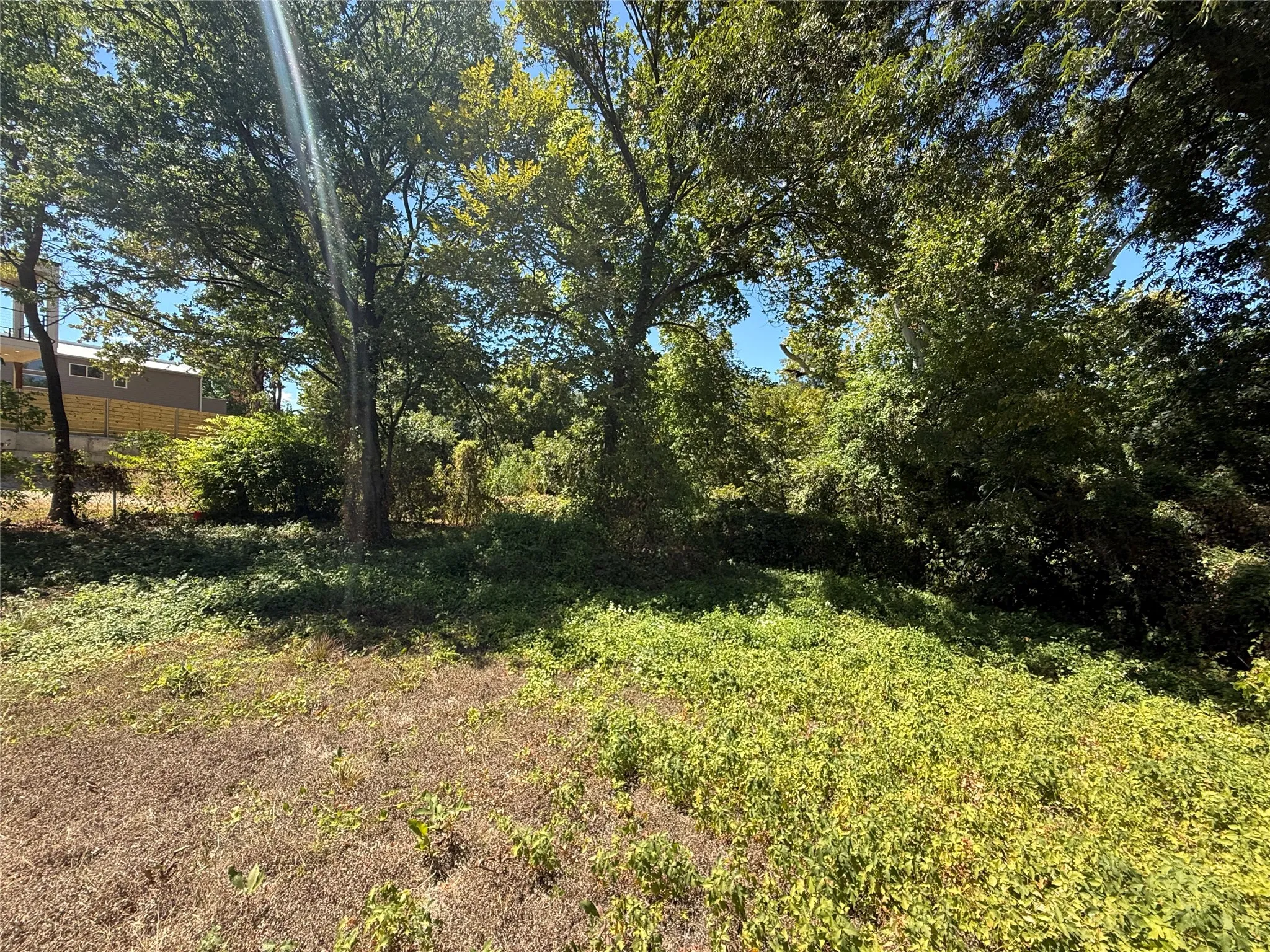 Expansive lot featuring mature trees and lush vegetation