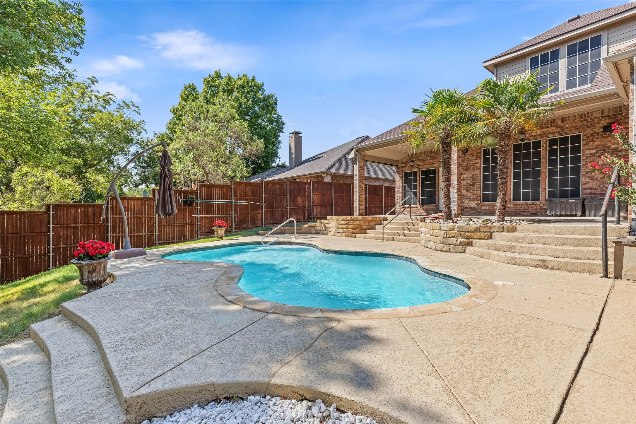 Curved inground swimming pool with integrated steps, surrounded by concrete decking and mature palm trees