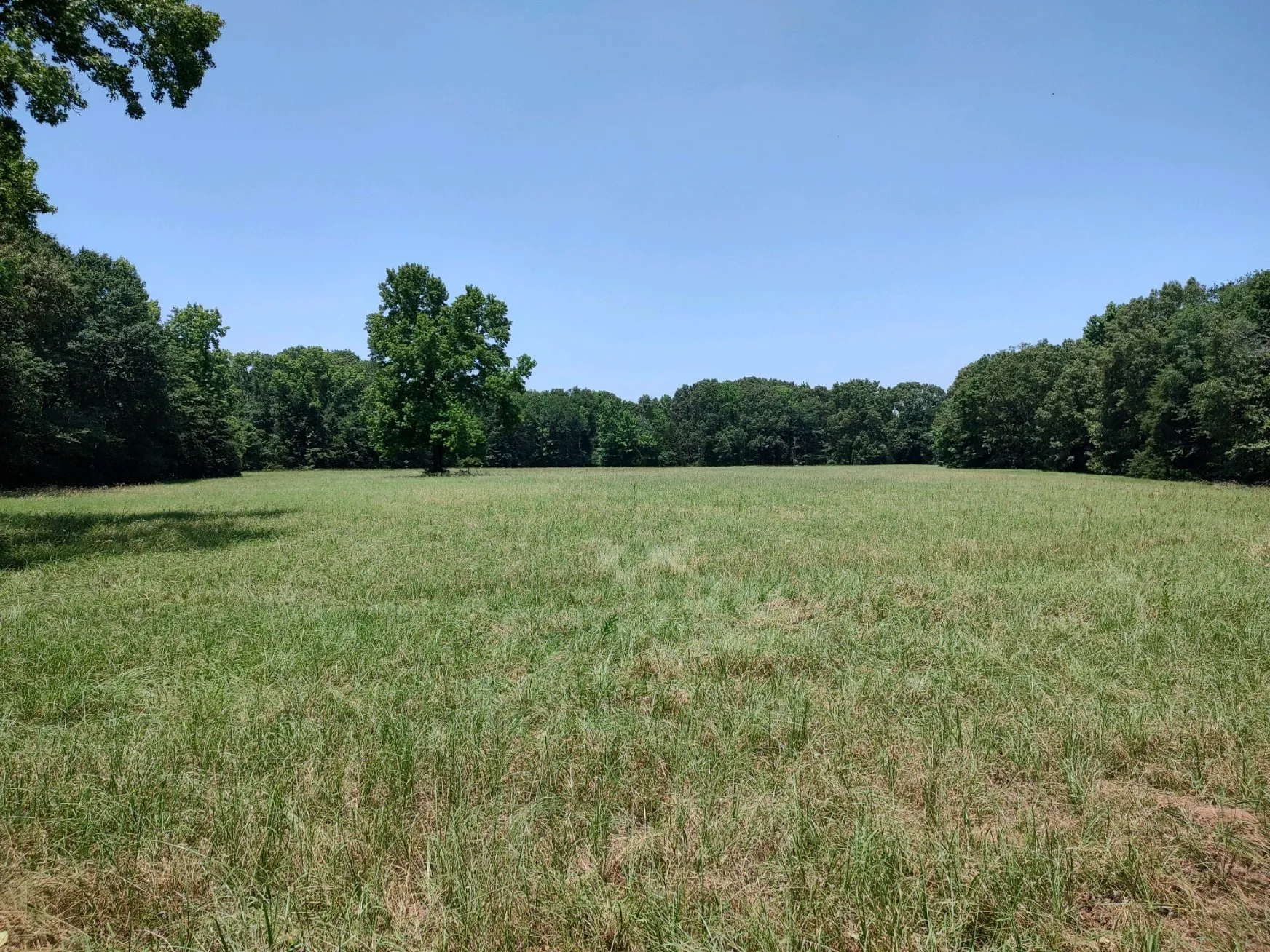 One of three hayfields.
