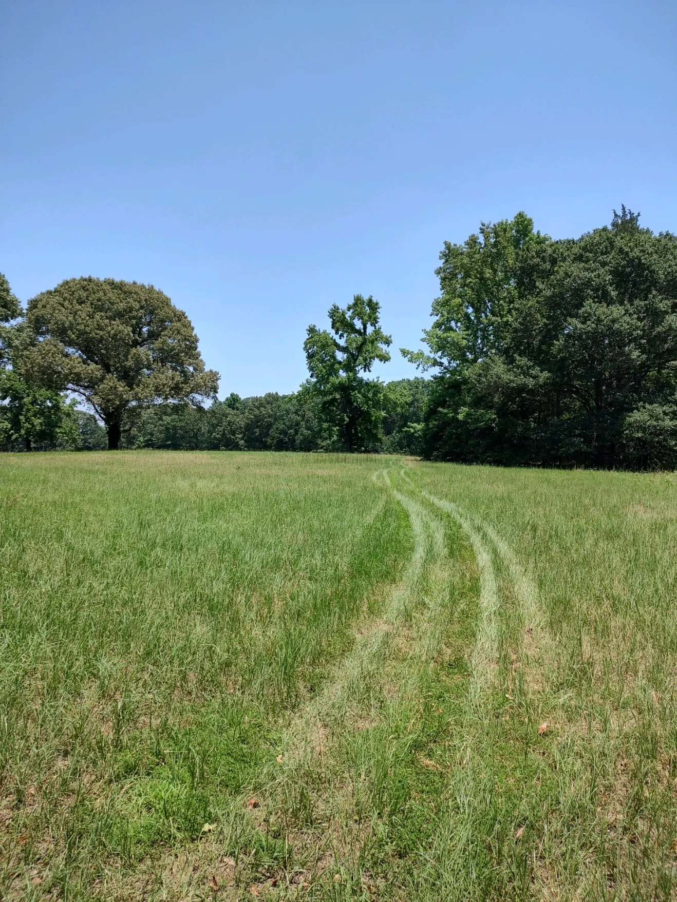 Two of three hayfields.