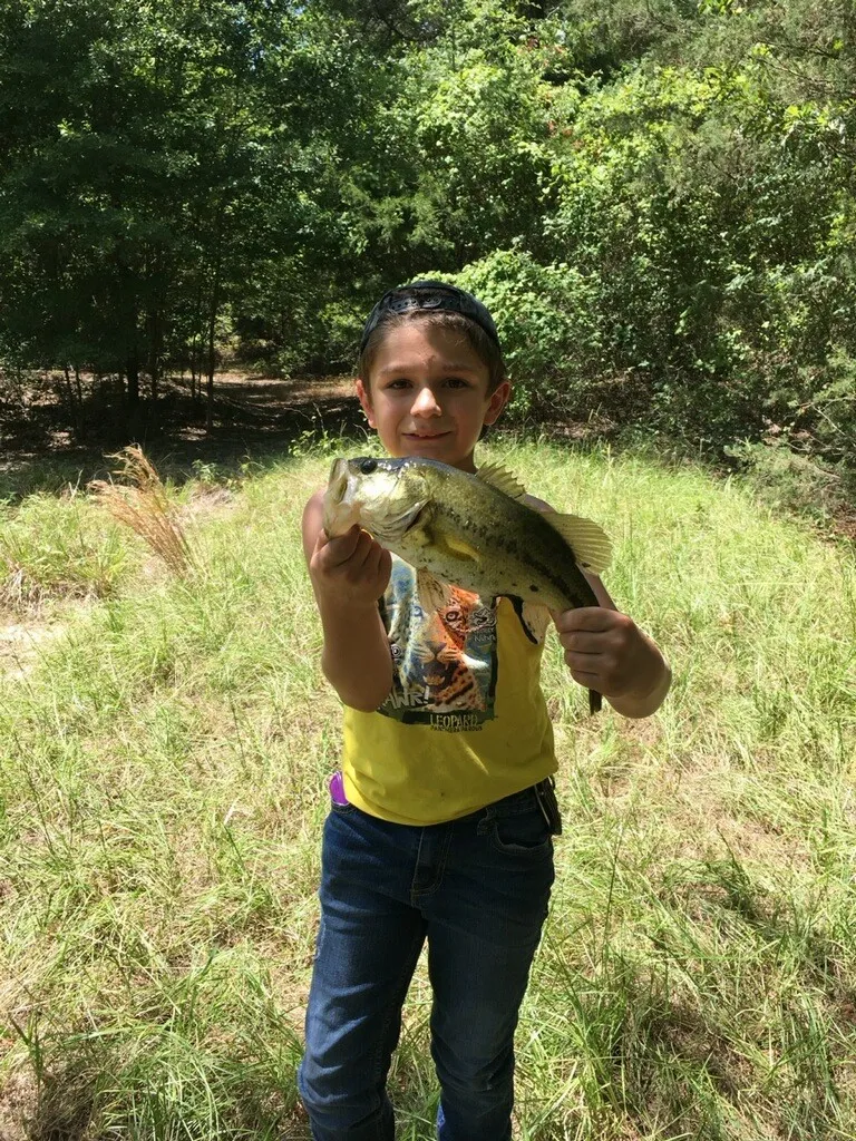 Bass from spring-fed pond.
