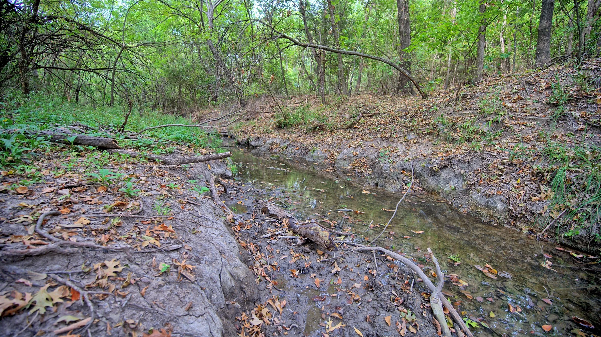 Unimproved Land For Sale in Montague County , TBD US-82, St Jo, Texas 76265, 0, 0, Garage spaces, 0 Sqft, built in 0, mls#21379617, Real Estate Agent in St Jo, Homes For Sale in Montague county, Homes For Sale in St Jo, Realtor in St Jo Texas, Real Estate Brokerage Independent Realty Texas, Luminita Cordes Realtor
