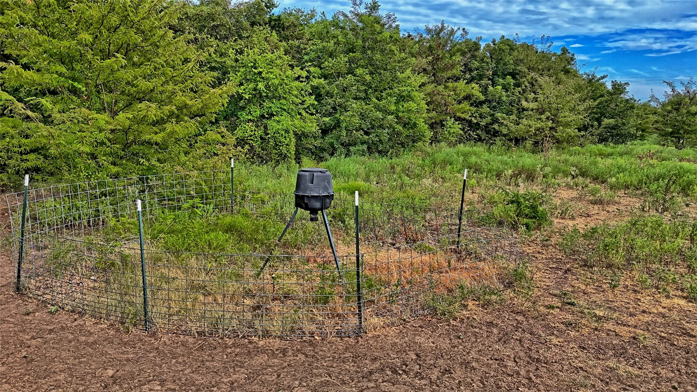 Unimproved Land For Sale in Montague County , TBD US-82, St Jo, Texas 76265, 0, 0, Garage spaces, 0 Sqft, built in 0, mls#21379617, Real Estate Agent in St Jo, Homes For Sale in Montague county, Homes For Sale in St Jo, Realtor in St Jo Texas, Real Estate Brokerage Independent Realty Texas, Luminita Cordes Realtor
